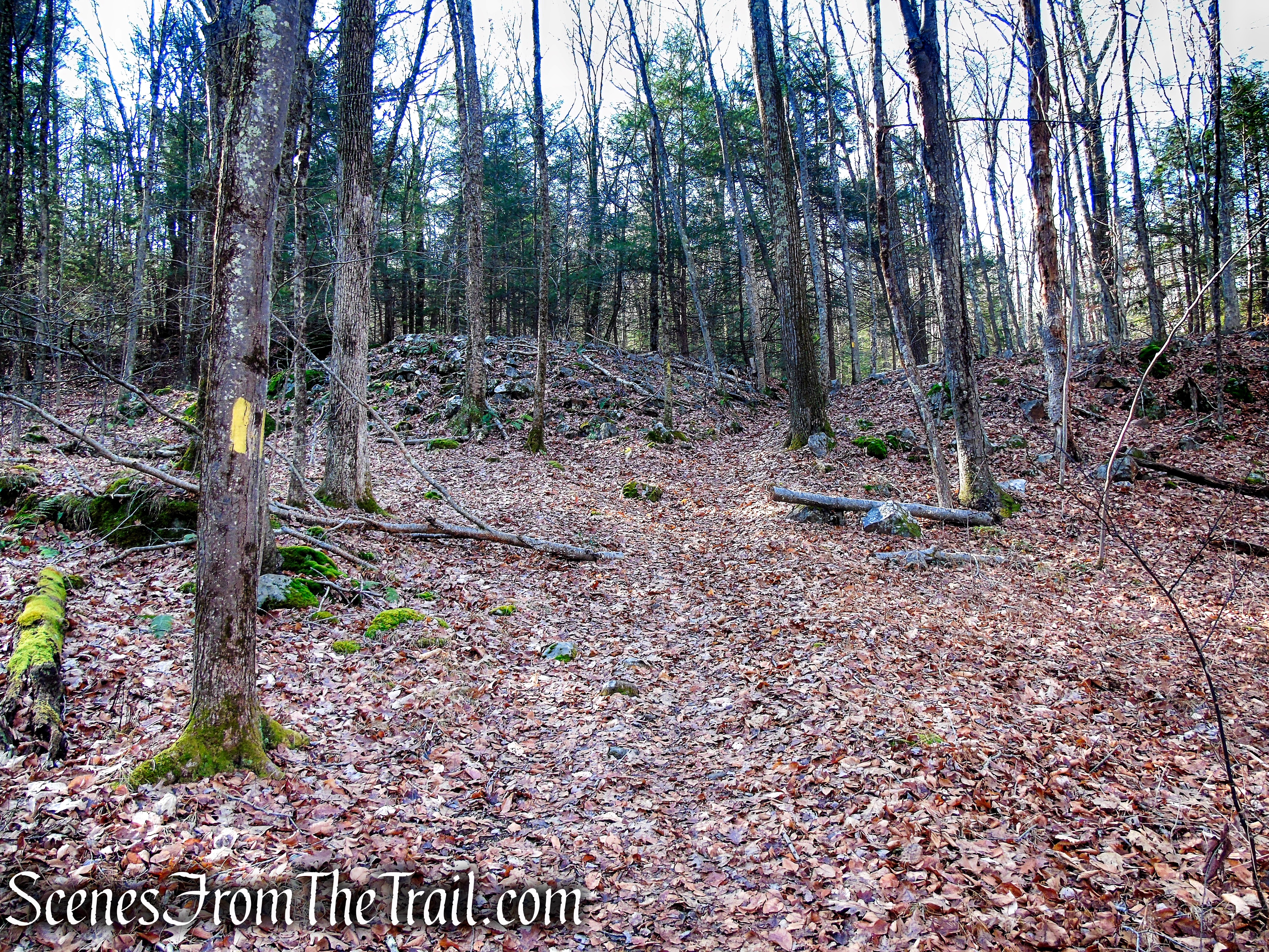 Yellow Trail – Prospect Mountain Preserve