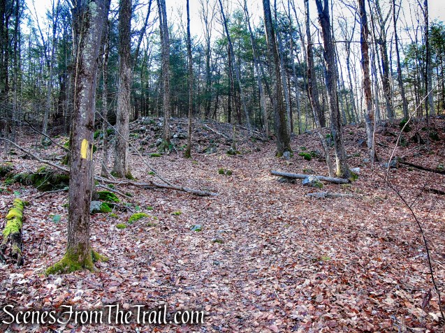Yellow Trail – Prospect Mountain Preserve
