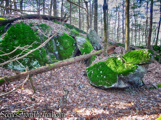 Yellow Trail – Prospect Mountain Preserve
