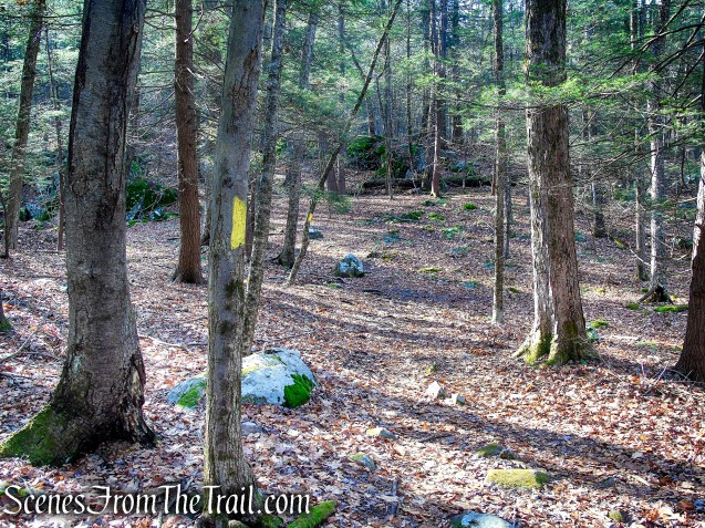 Yellow Trail – Prospect Mountain Preserve