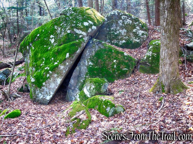 Yellow Trail – Prospect Mountain Preserve