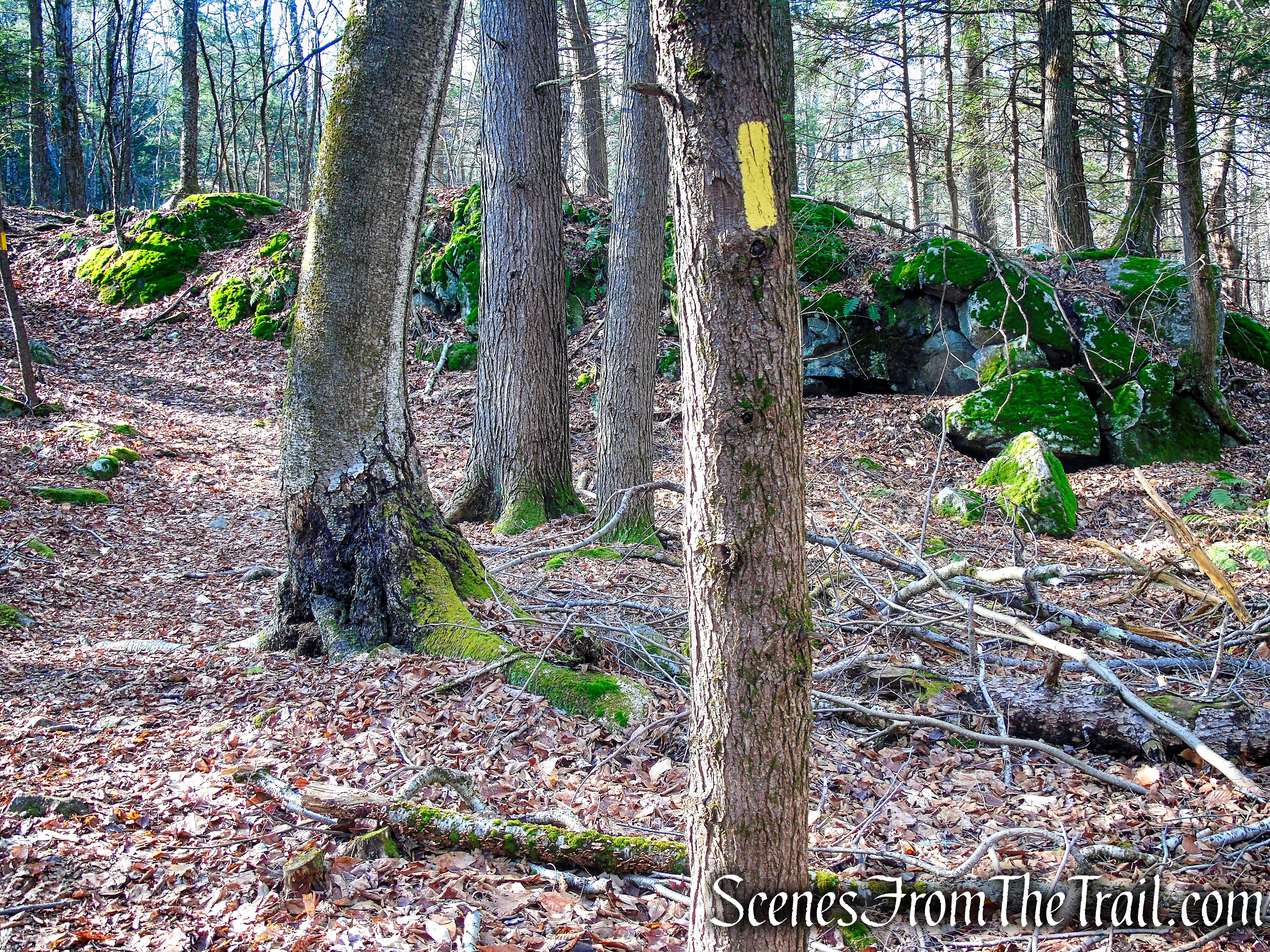 Yellow Trail – Prospect Mountain Preserve