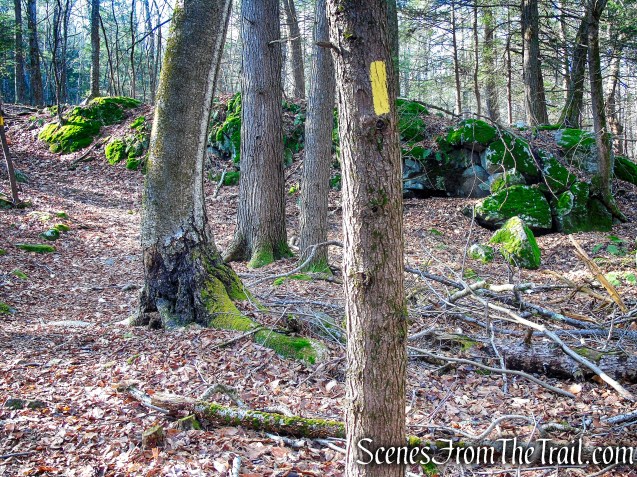 Yellow Trail – Prospect Mountain Preserve