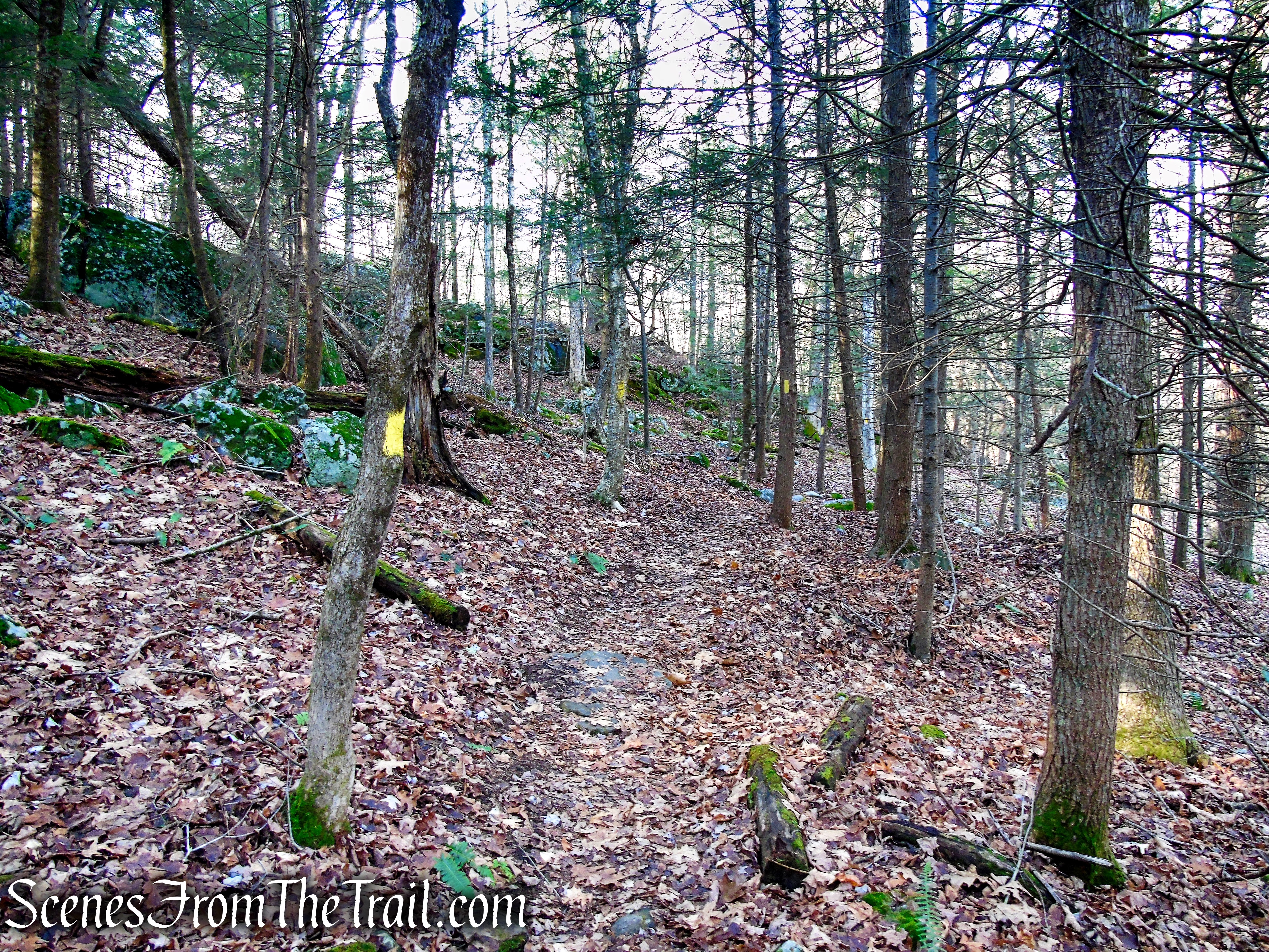Yellow Trail – Prospect Mountain Preserve