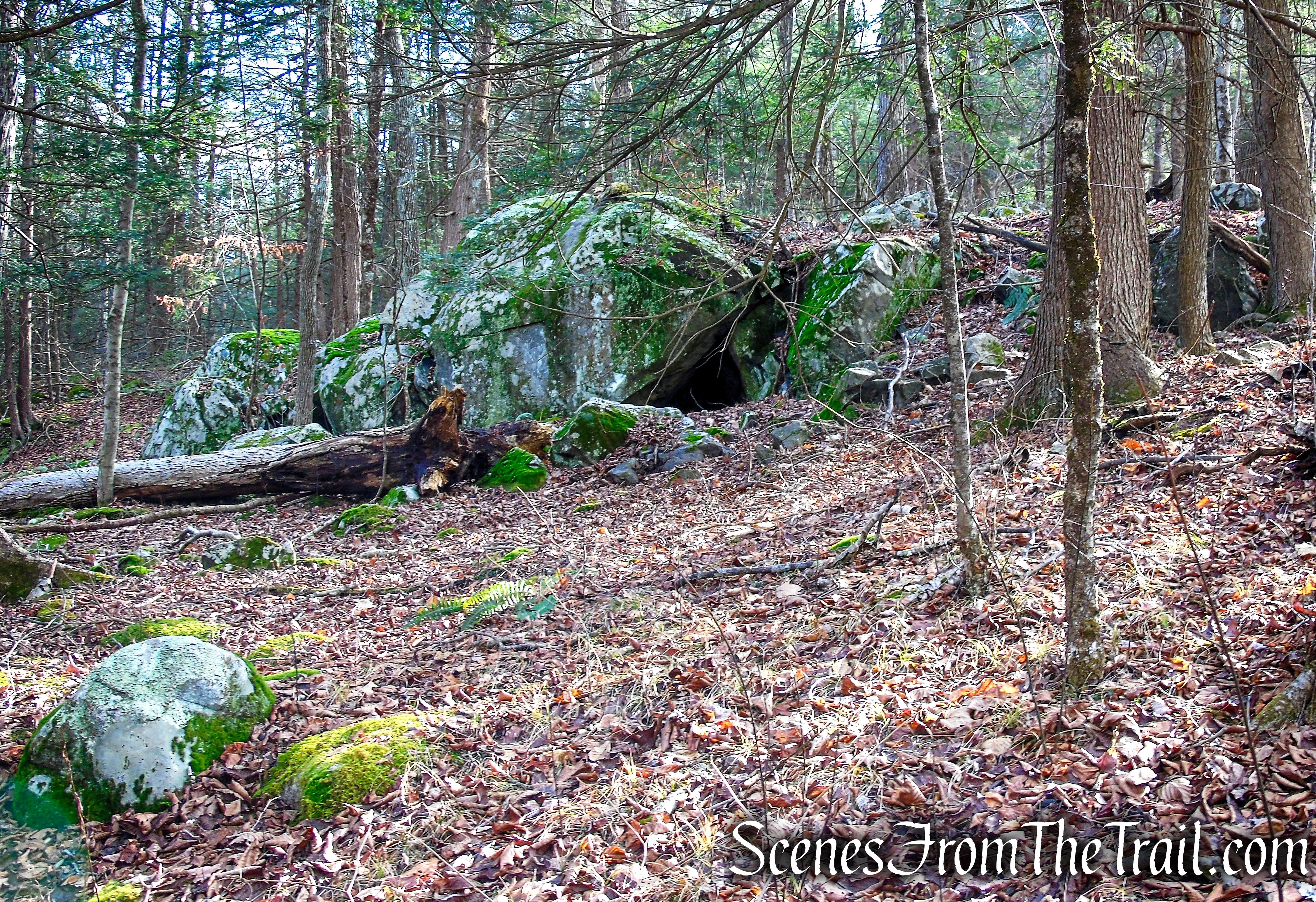Yellow Trail – Prospect Mountain Preserve