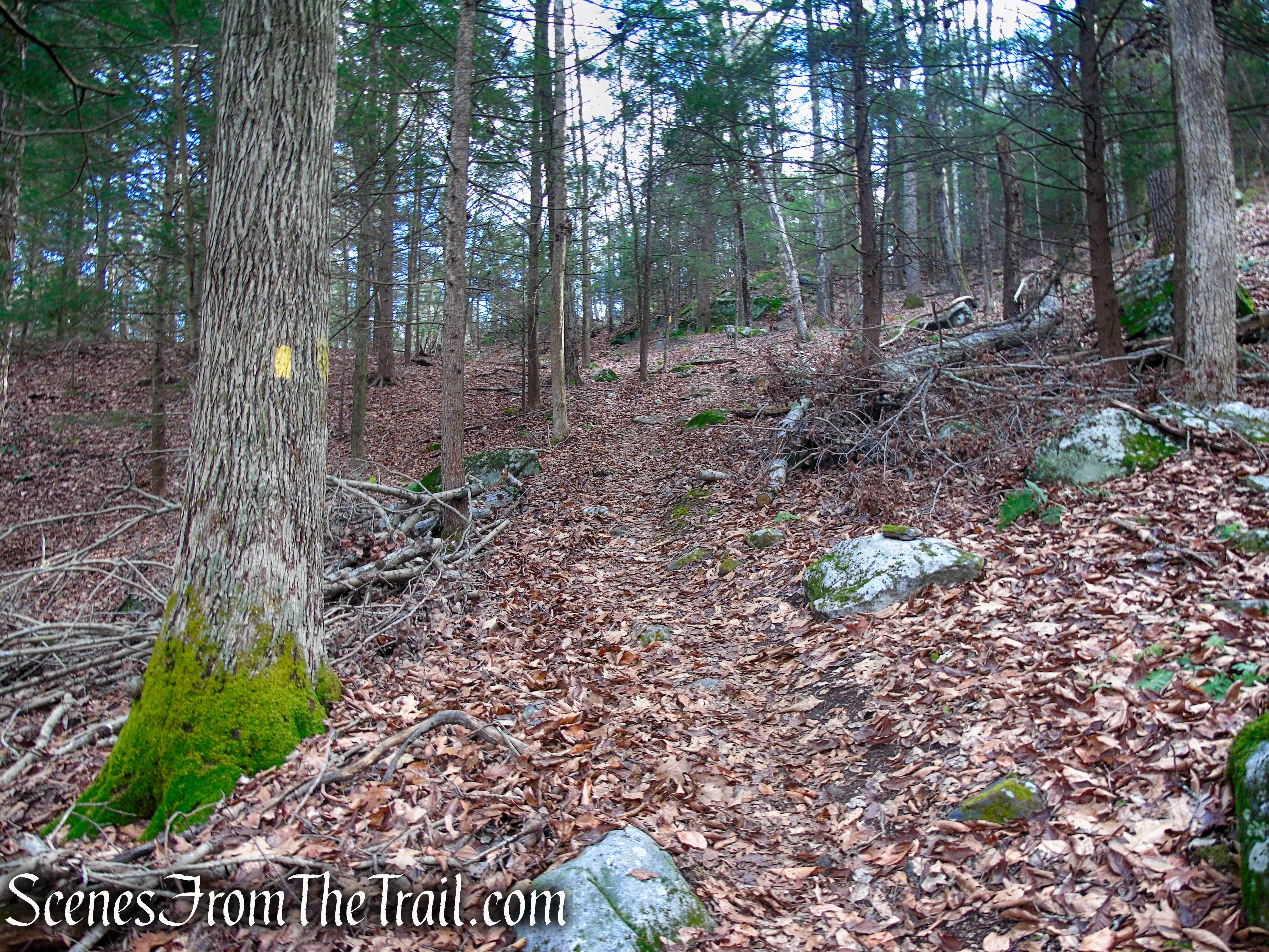 Yellow Trail – Prospect Mountain Preserve