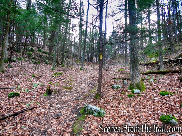 Yellow Trail – Prospect Mountain Preserve