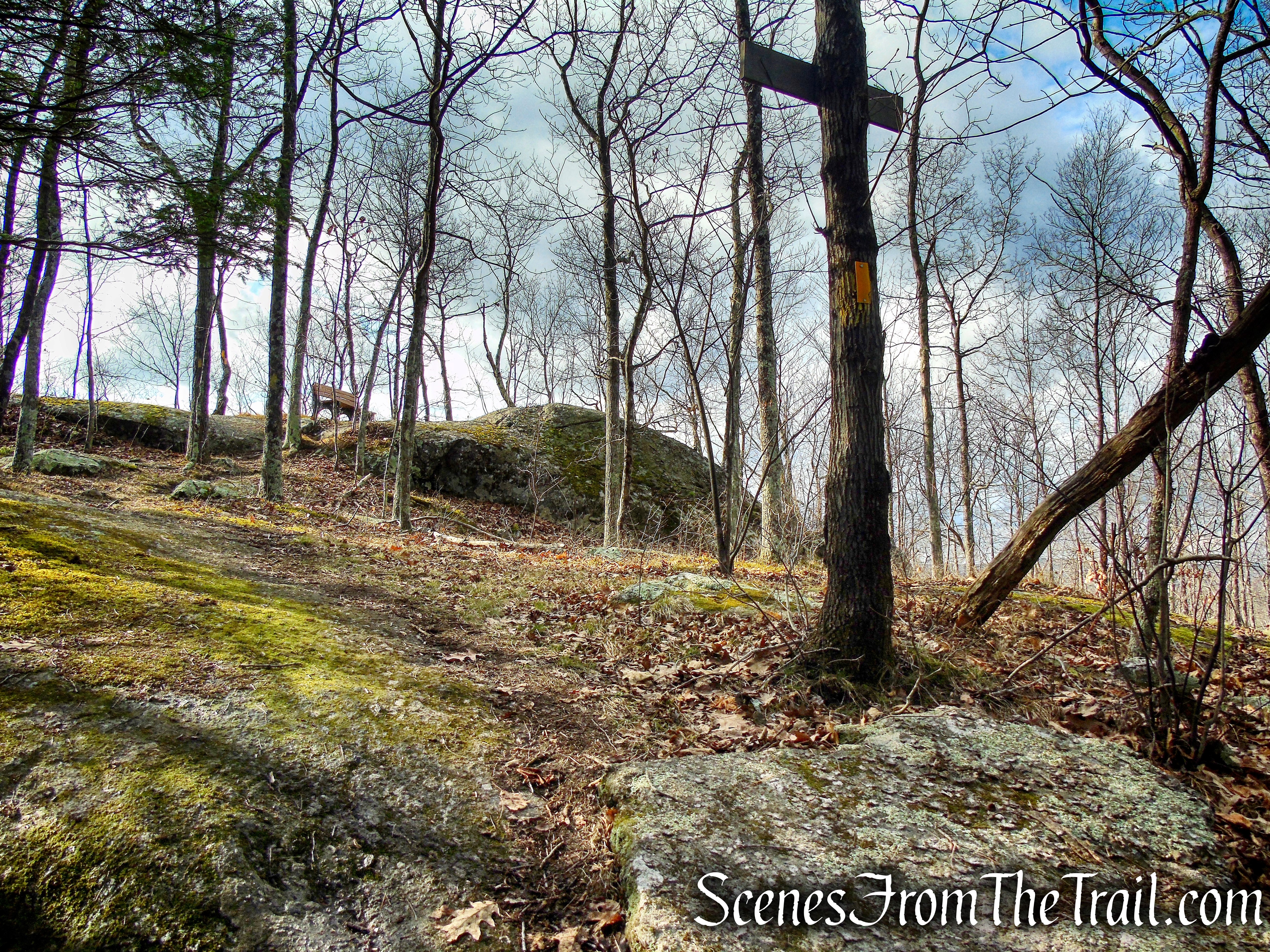 Yellow Trail – Prospect Mountain Preserve