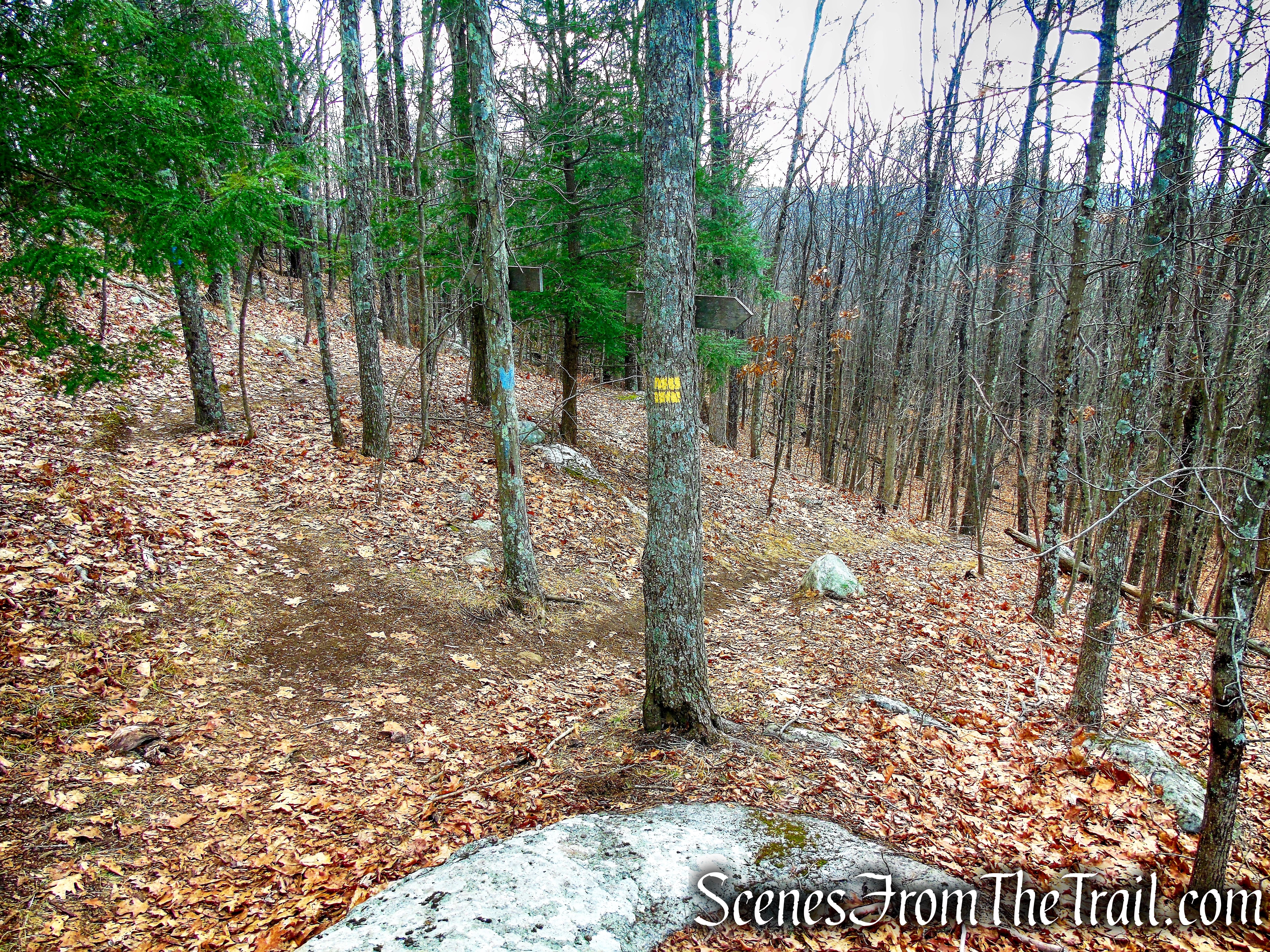 turn right on Blue Trail