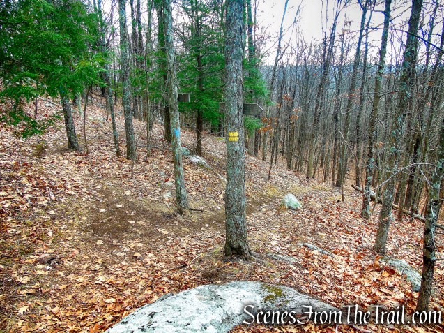 turn right on Blue Trail