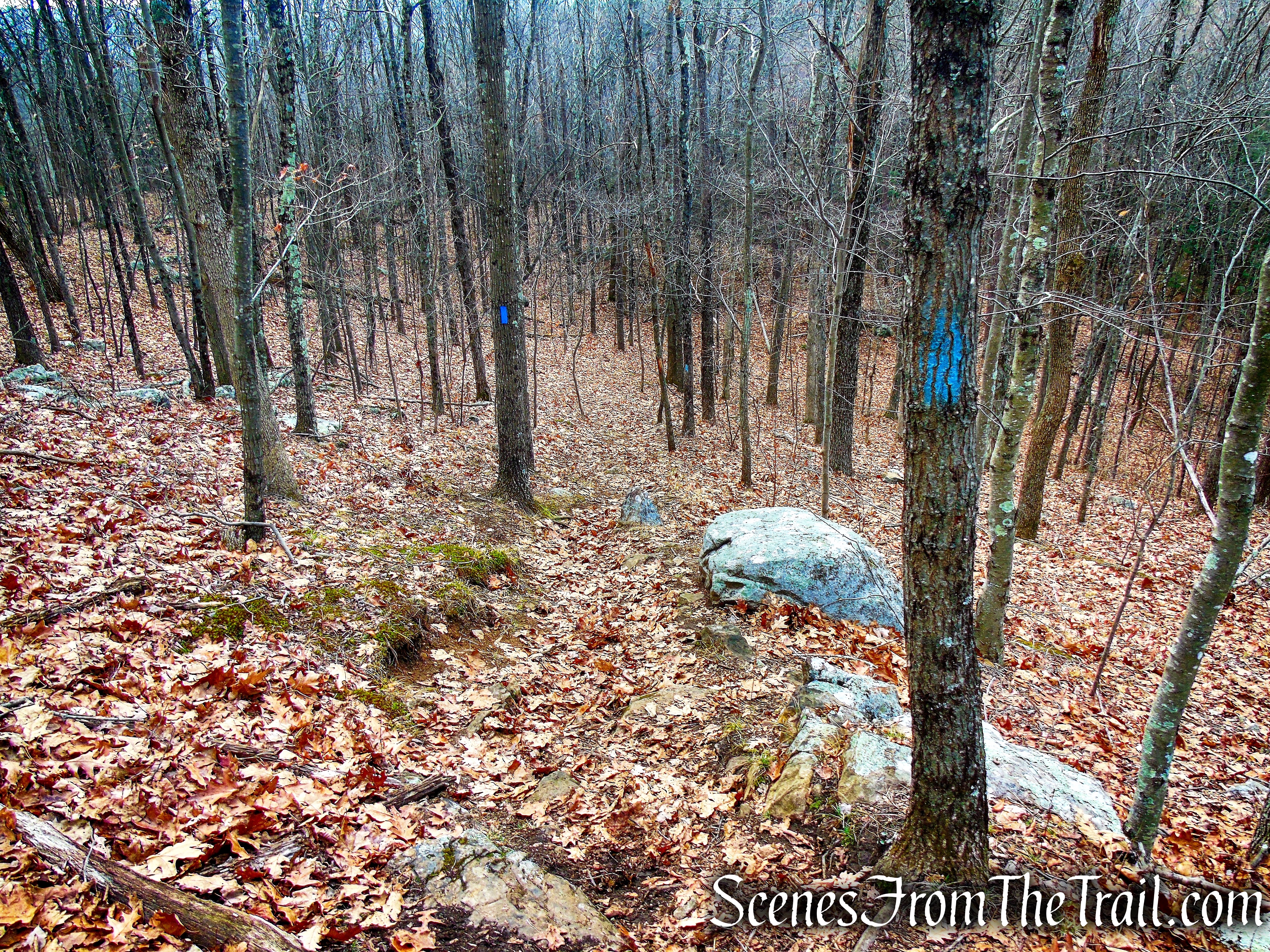 Blue Trail – Prospect Mountain Preserve
