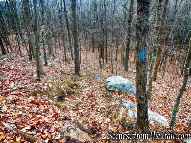 Blue Trail – Prospect Mountain Preserve