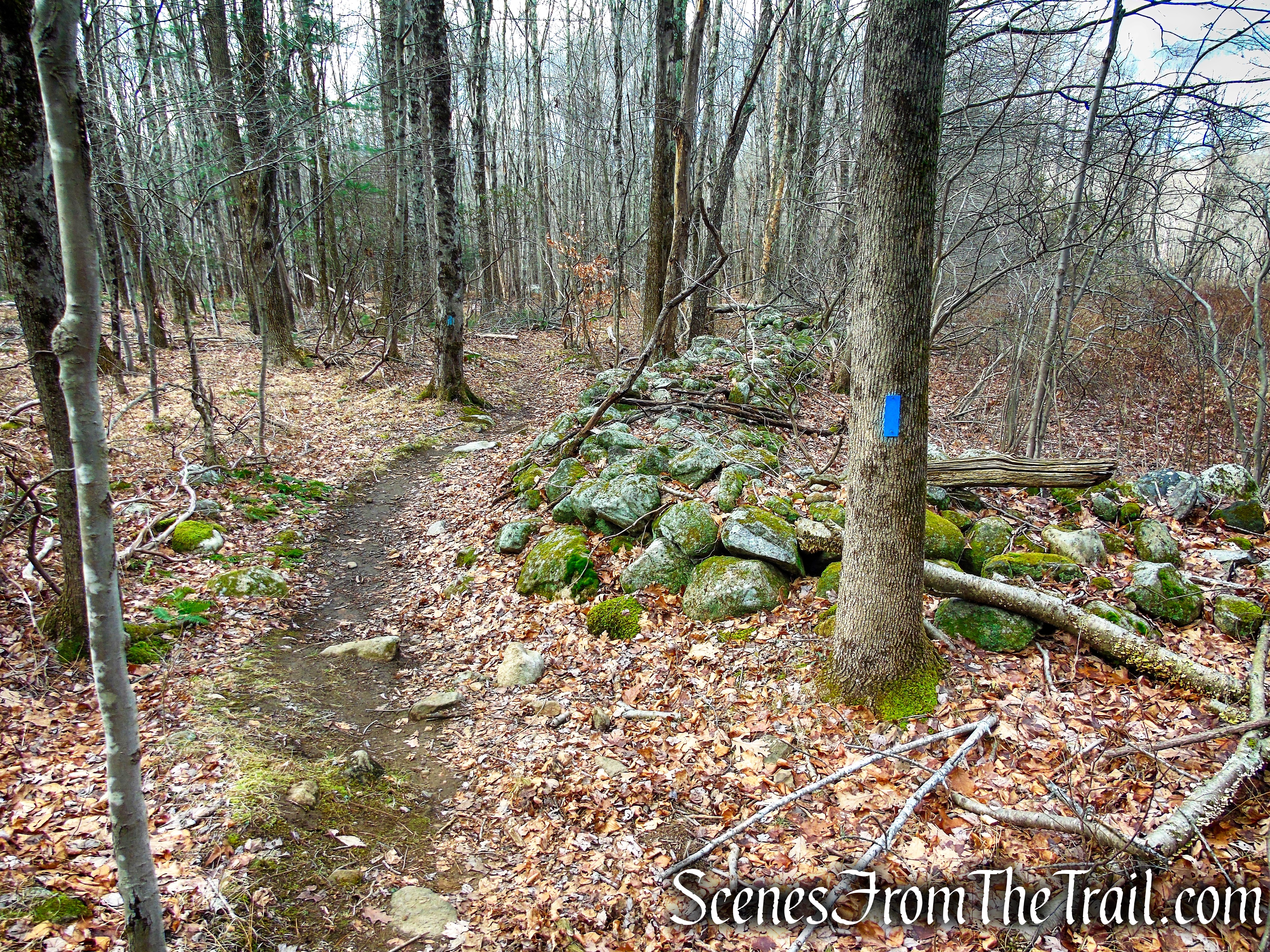 Blue Trail – Prospect Mountain Preserve