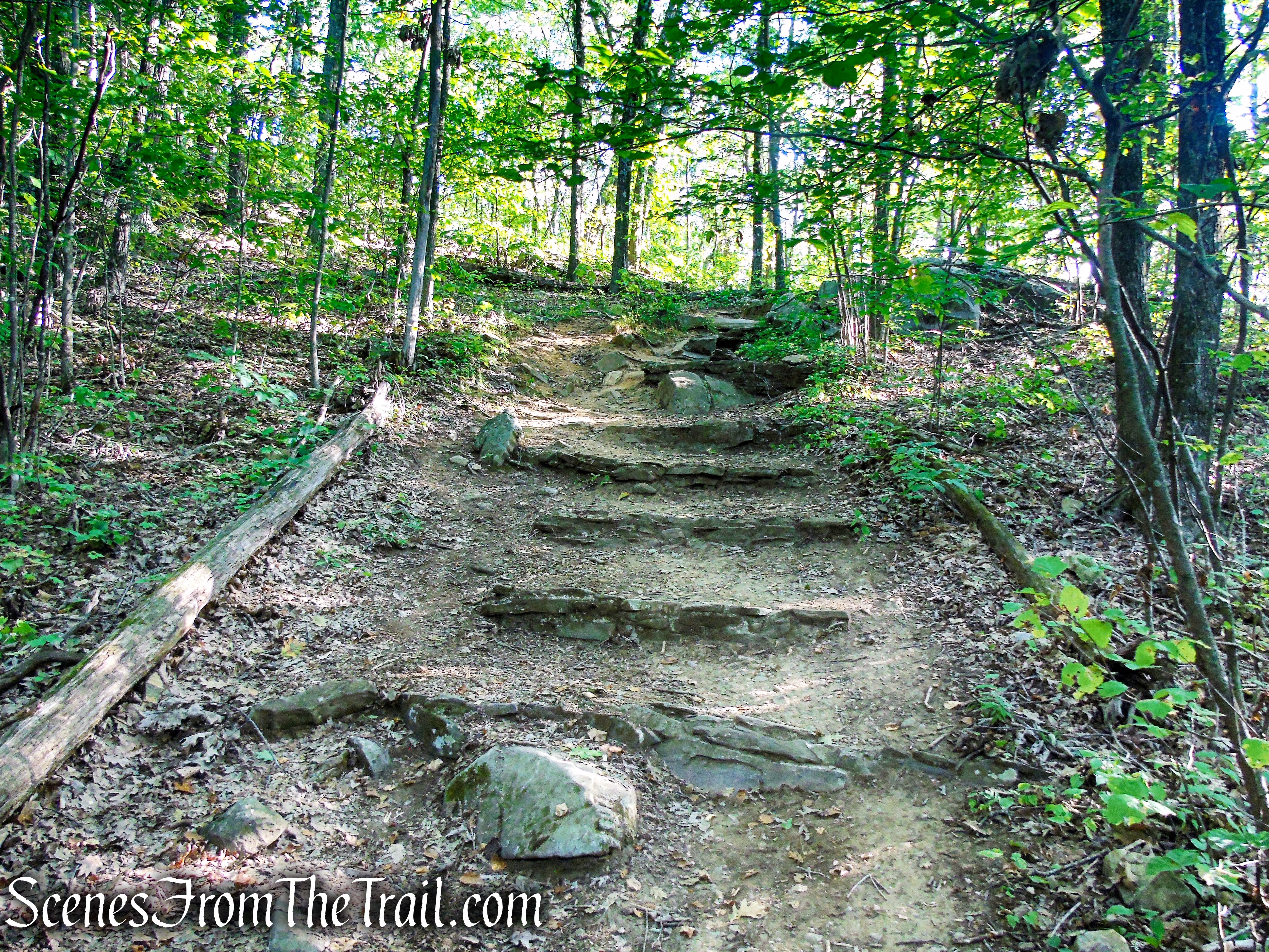 Tower Loop Trail - Haystack Mountain State Park