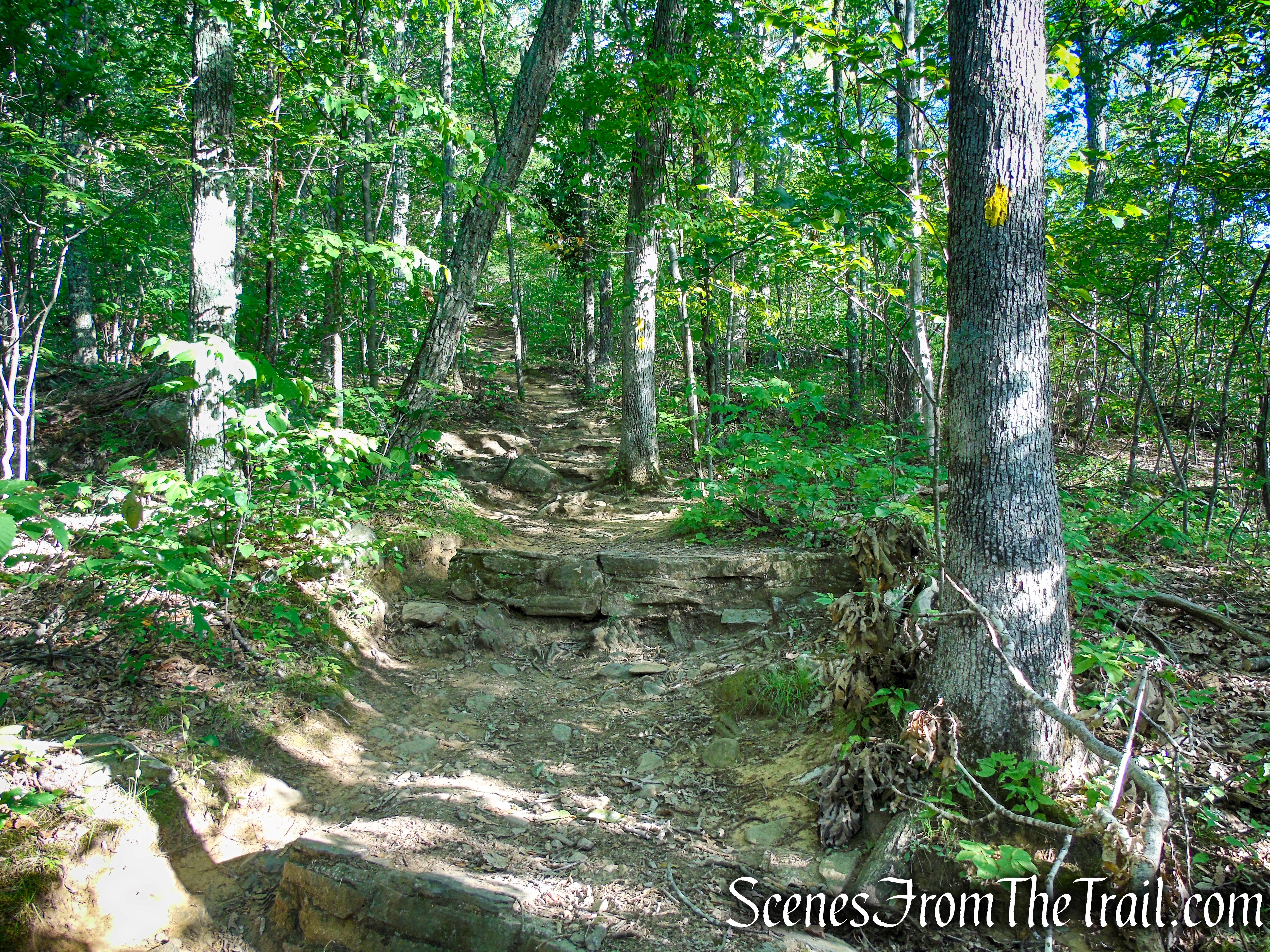 Tower Loop Trail - Haystack Mountain State Park