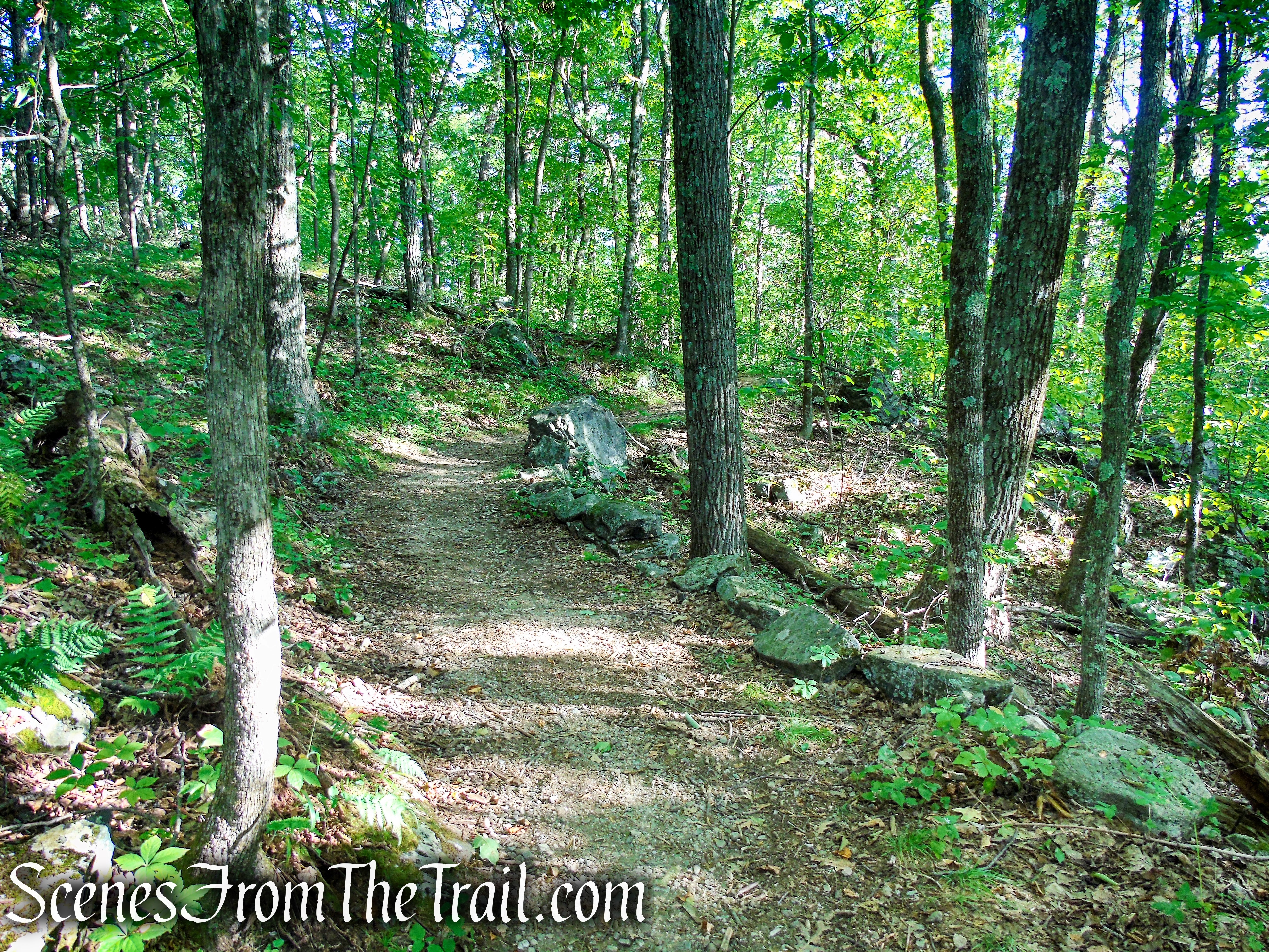 Tower Loop Trail - Haystack Mountain State Park