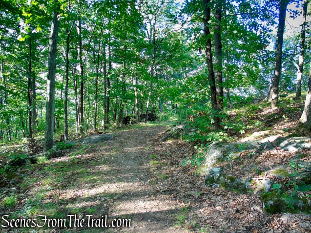 Tower Loop Trail - Haystack Mountain State Park