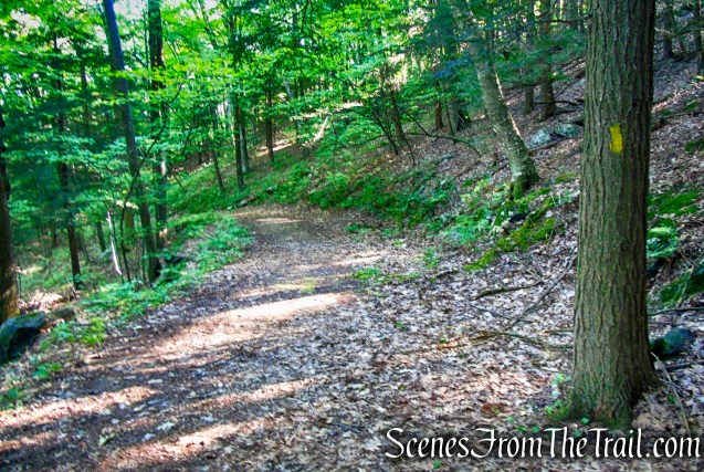 Tower Loop Trail - Haystack Mountain State Park