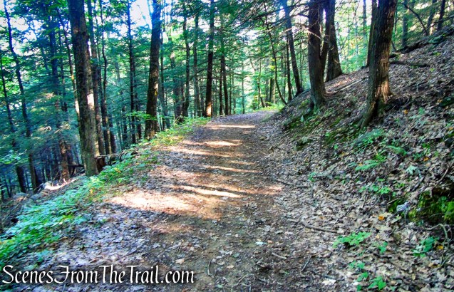 Tower Loop Trail - Haystack Mountain State Park