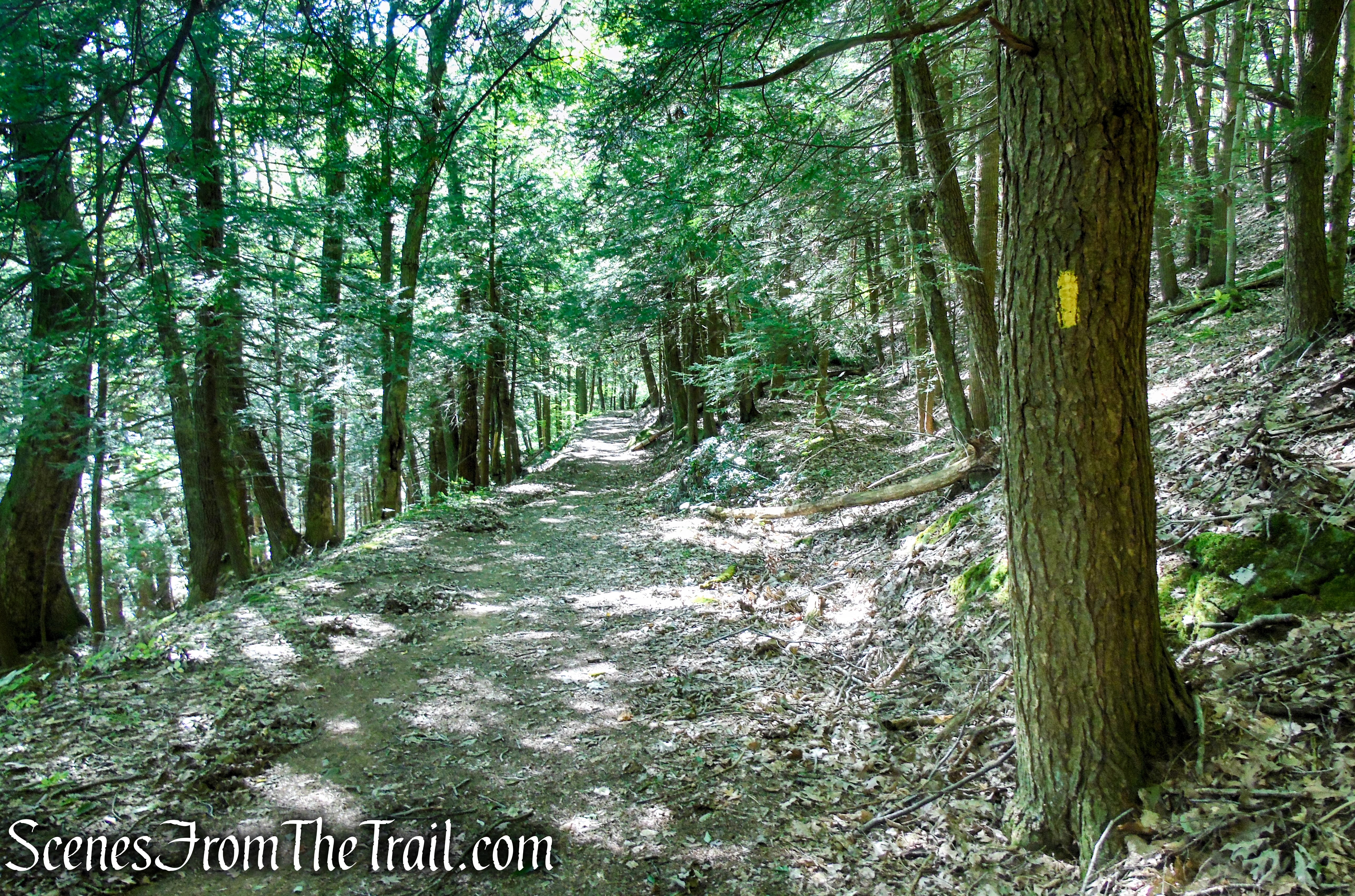 Tower Loop Trail - Haystack Mountain State Park