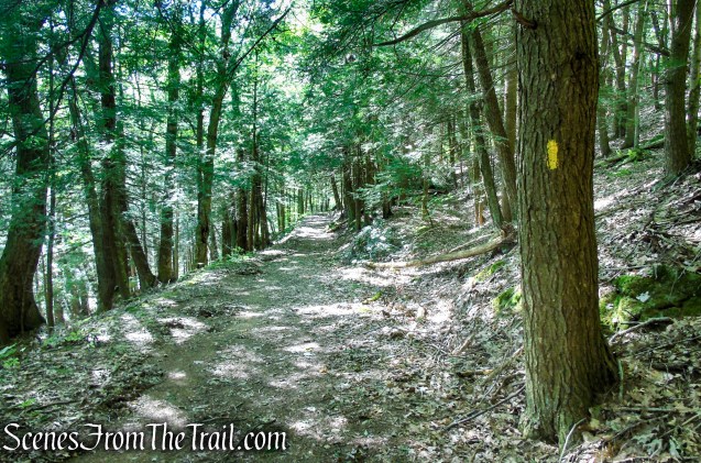Tower Loop Trail - Haystack Mountain State Park