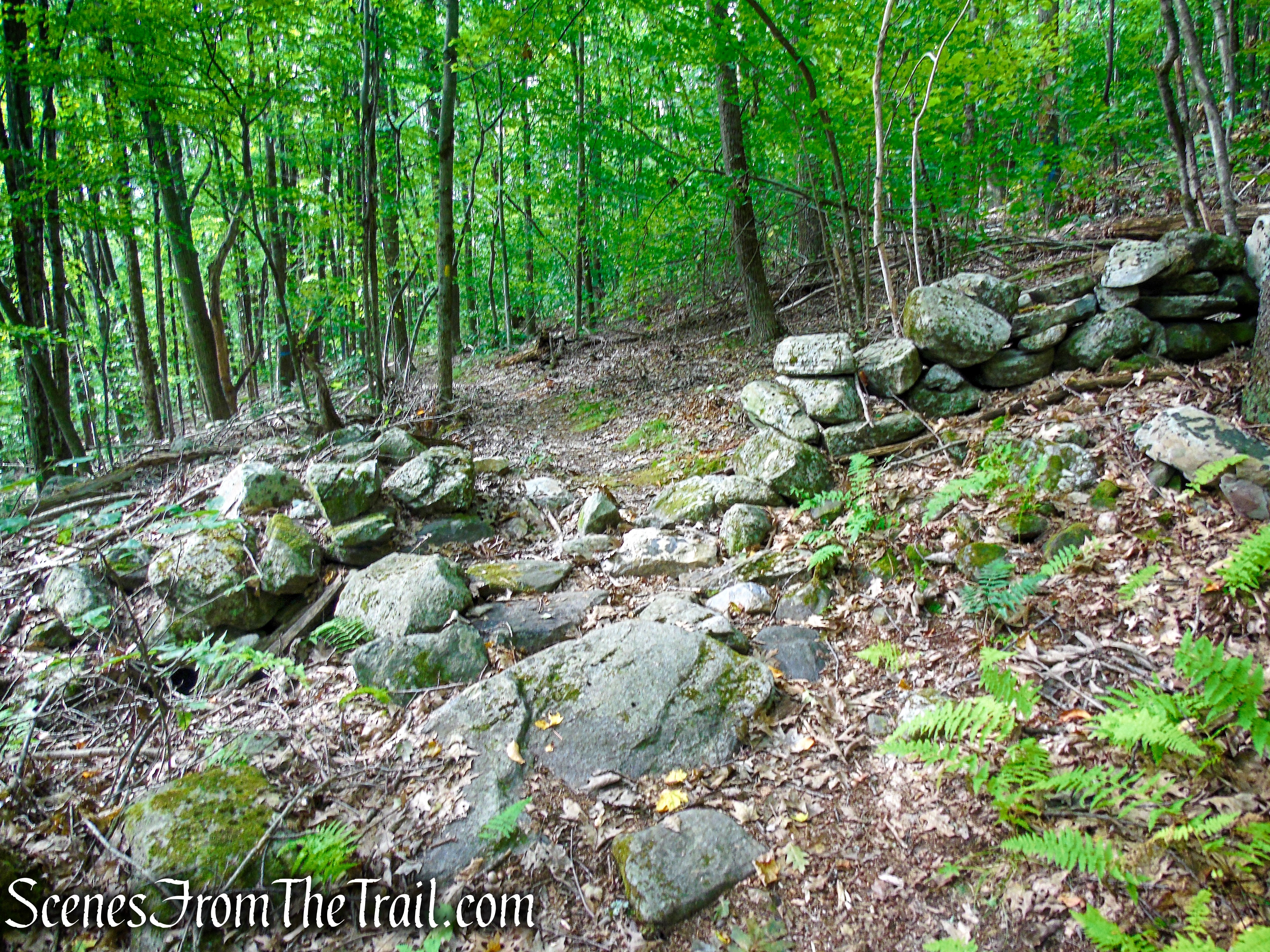Tower Loop Trail - Haystack Mountain State Park