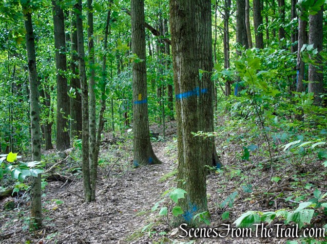 Tower Loop Trail - Haystack Mountain State Park