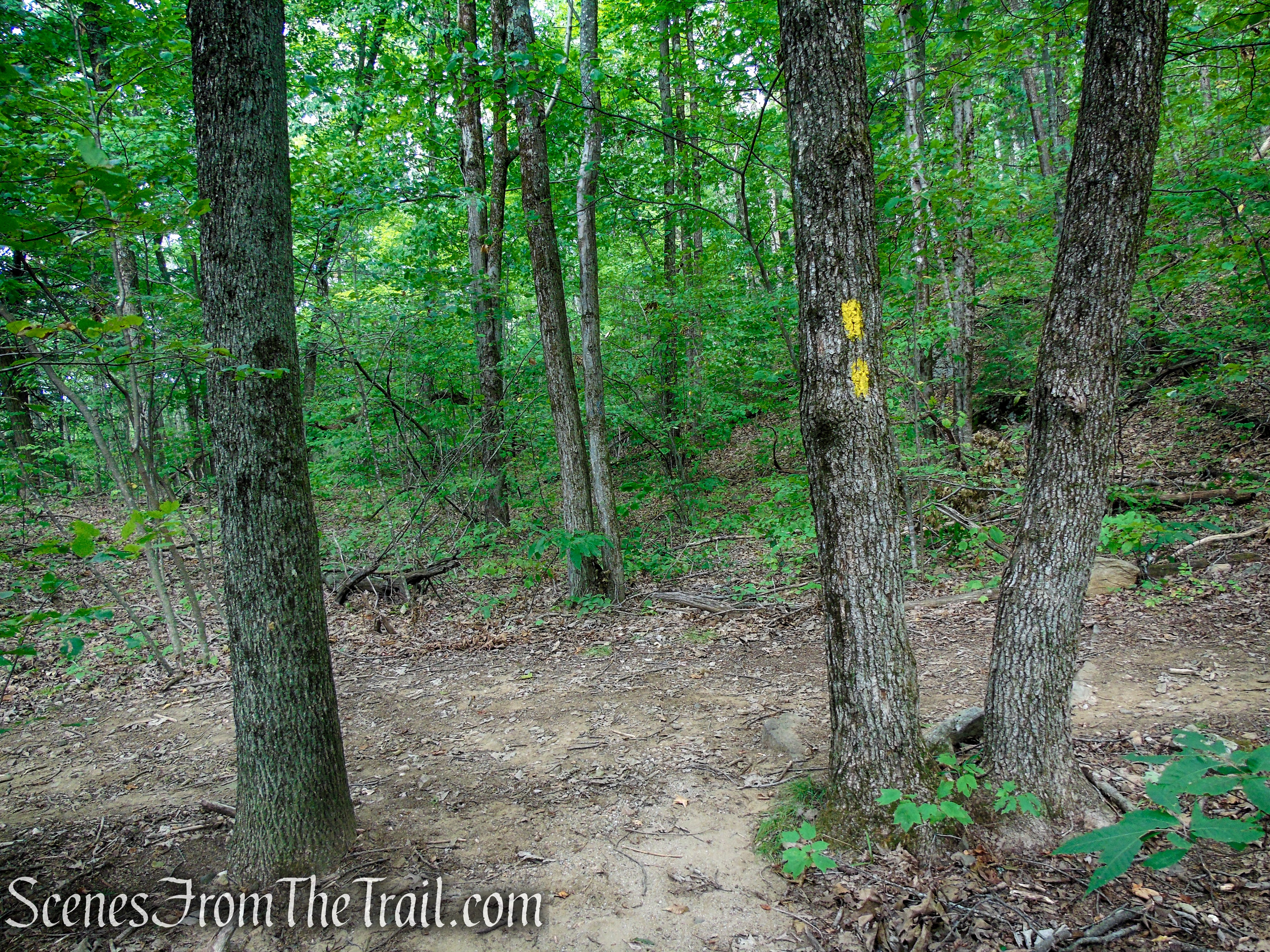 Tower Loop Trail - Haystack Mountain State Park