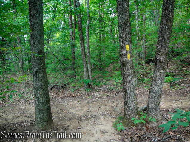 Tower Loop Trail - Haystack Mountain State Park