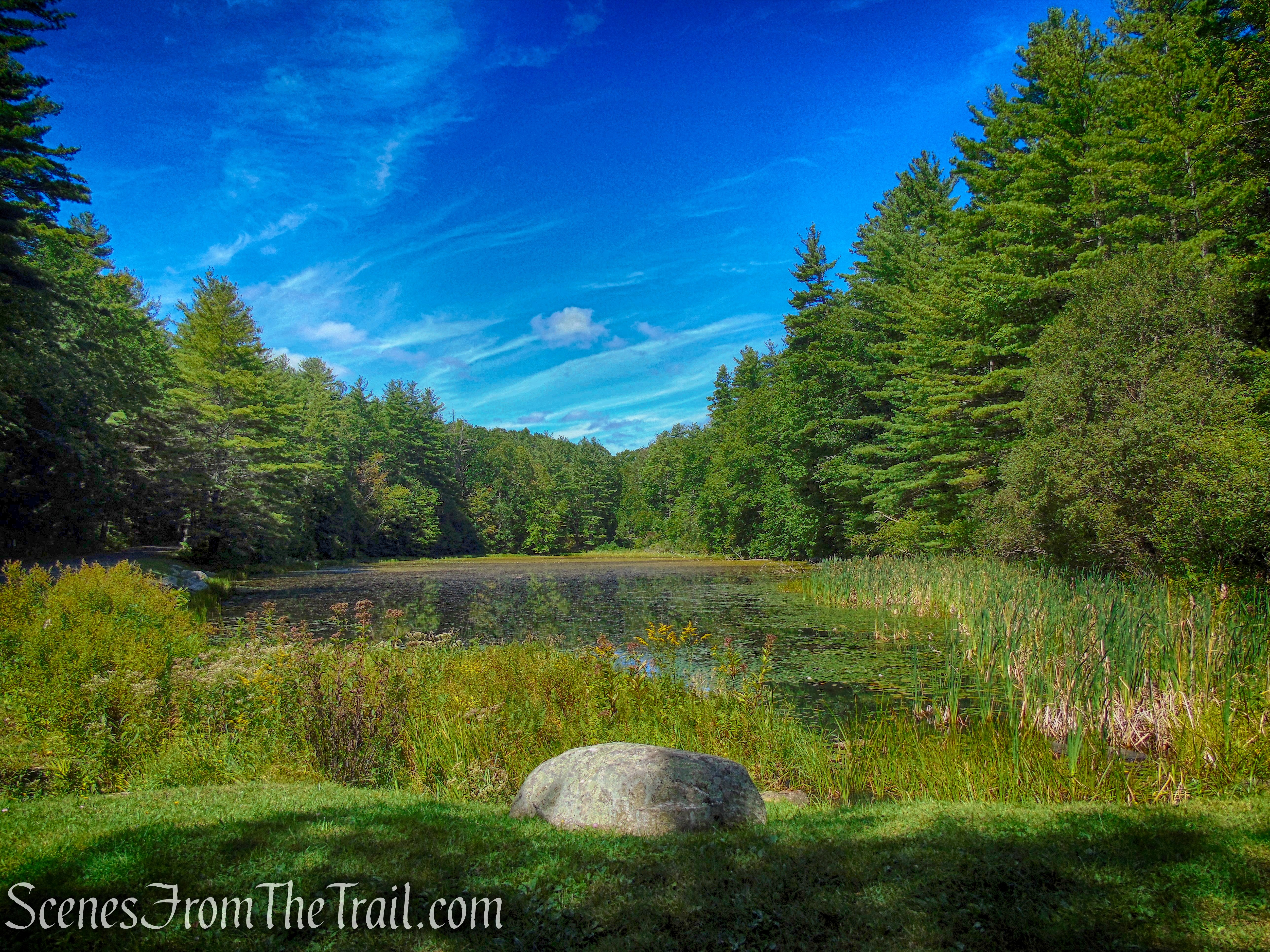 Haystack Park Pond