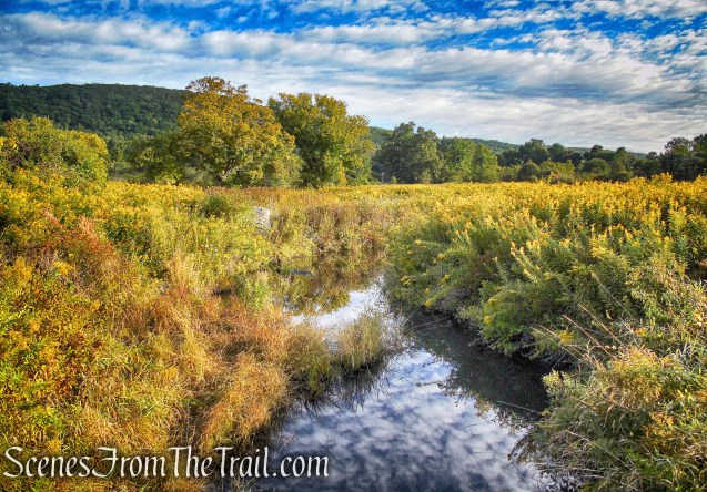 Bee Brook - Macricostas Preserve