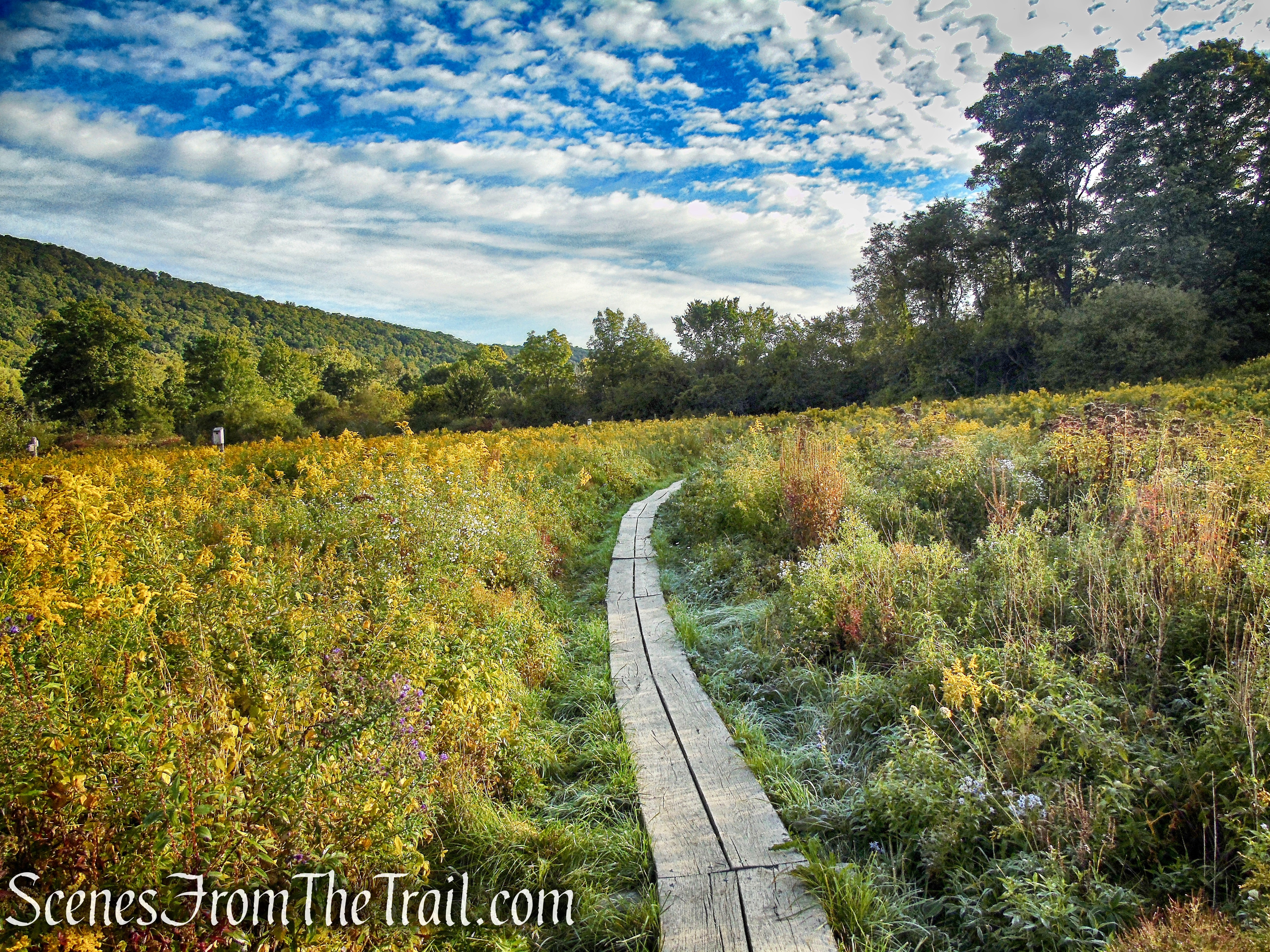 Meeker Trail - Macricostas Preserve