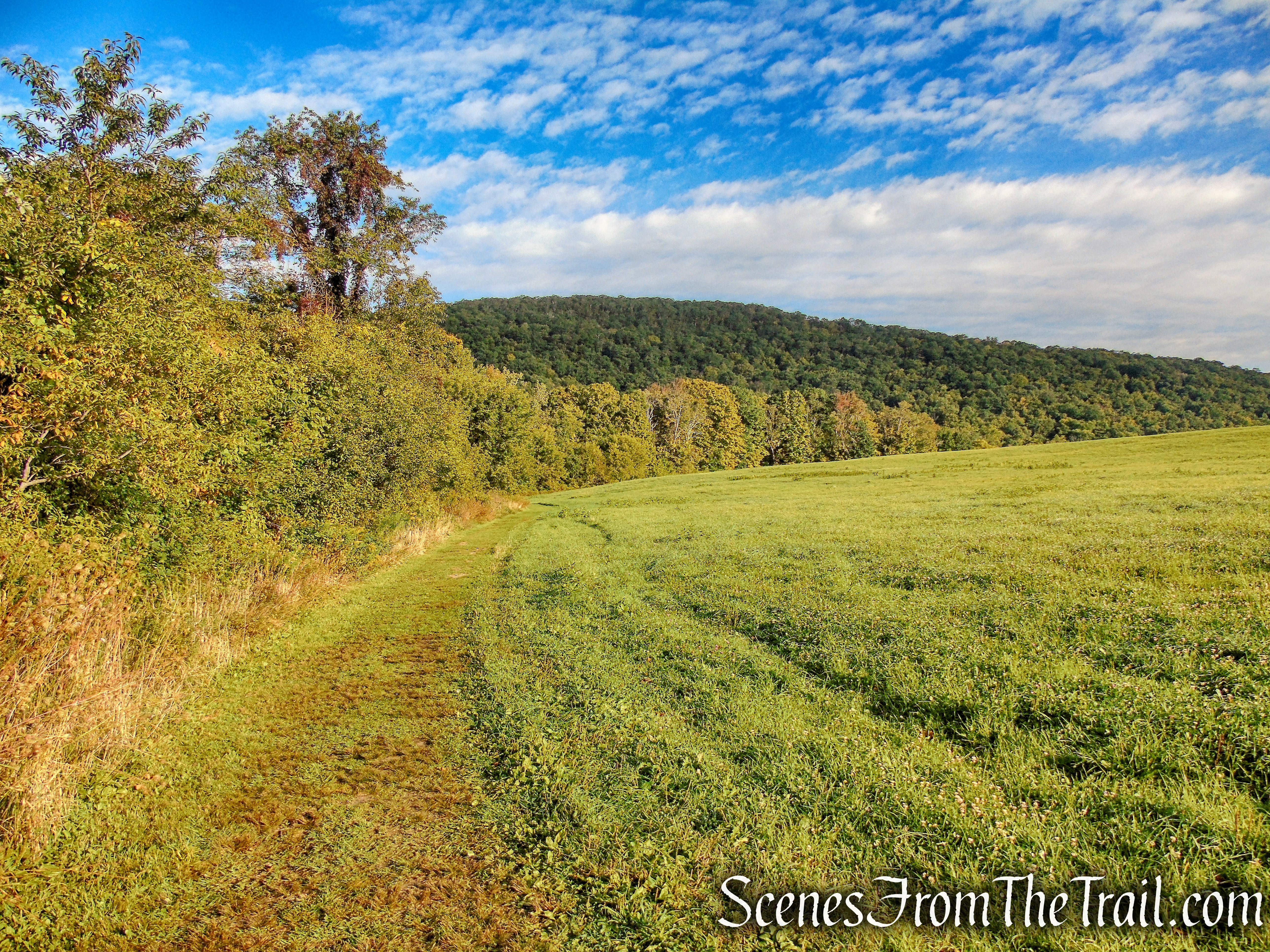 Meeker Trail - Macricostas Preserve