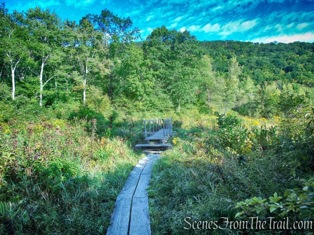 Meeker Trail - Macricostas Preserve