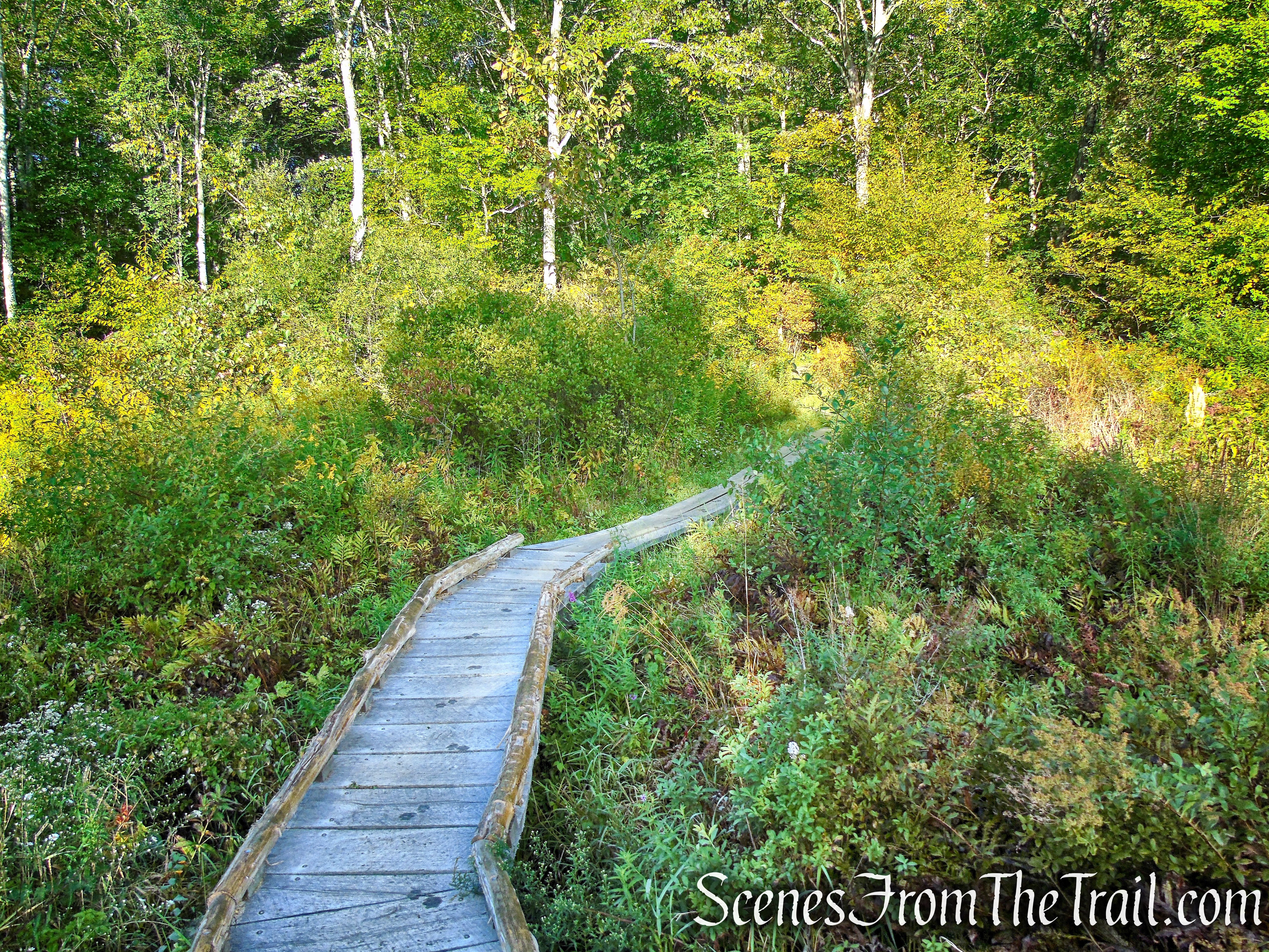 Meeker Trail - Macricostas Preserve