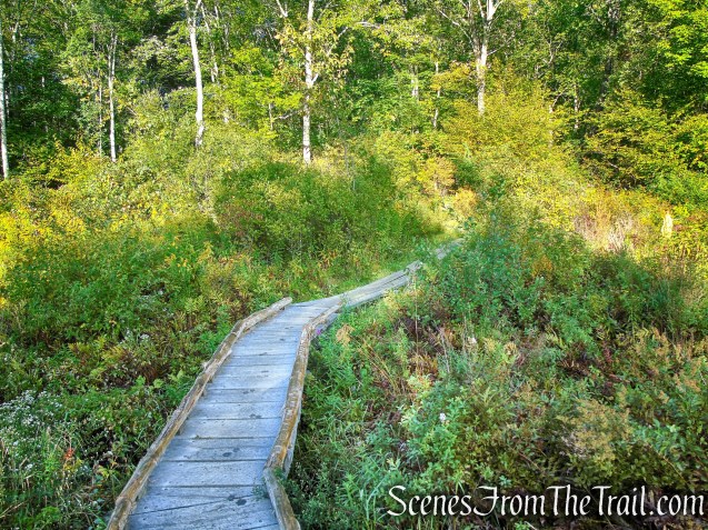 Meeker Trail - Macricostas Preserve