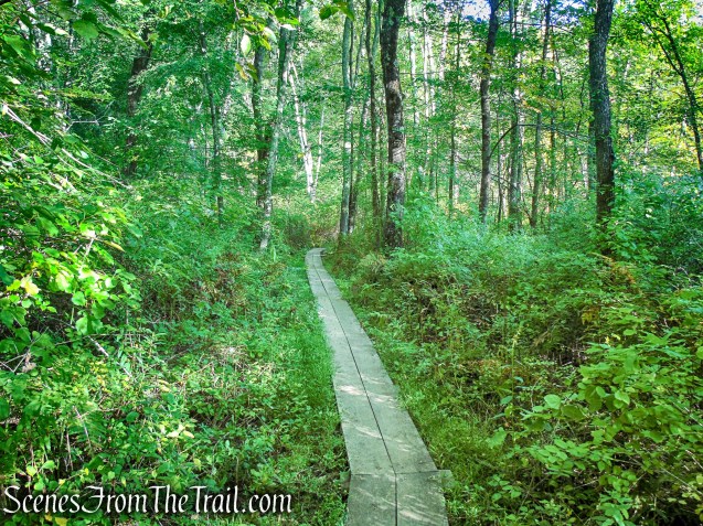 Meeker Trail - Macricostas Preserve