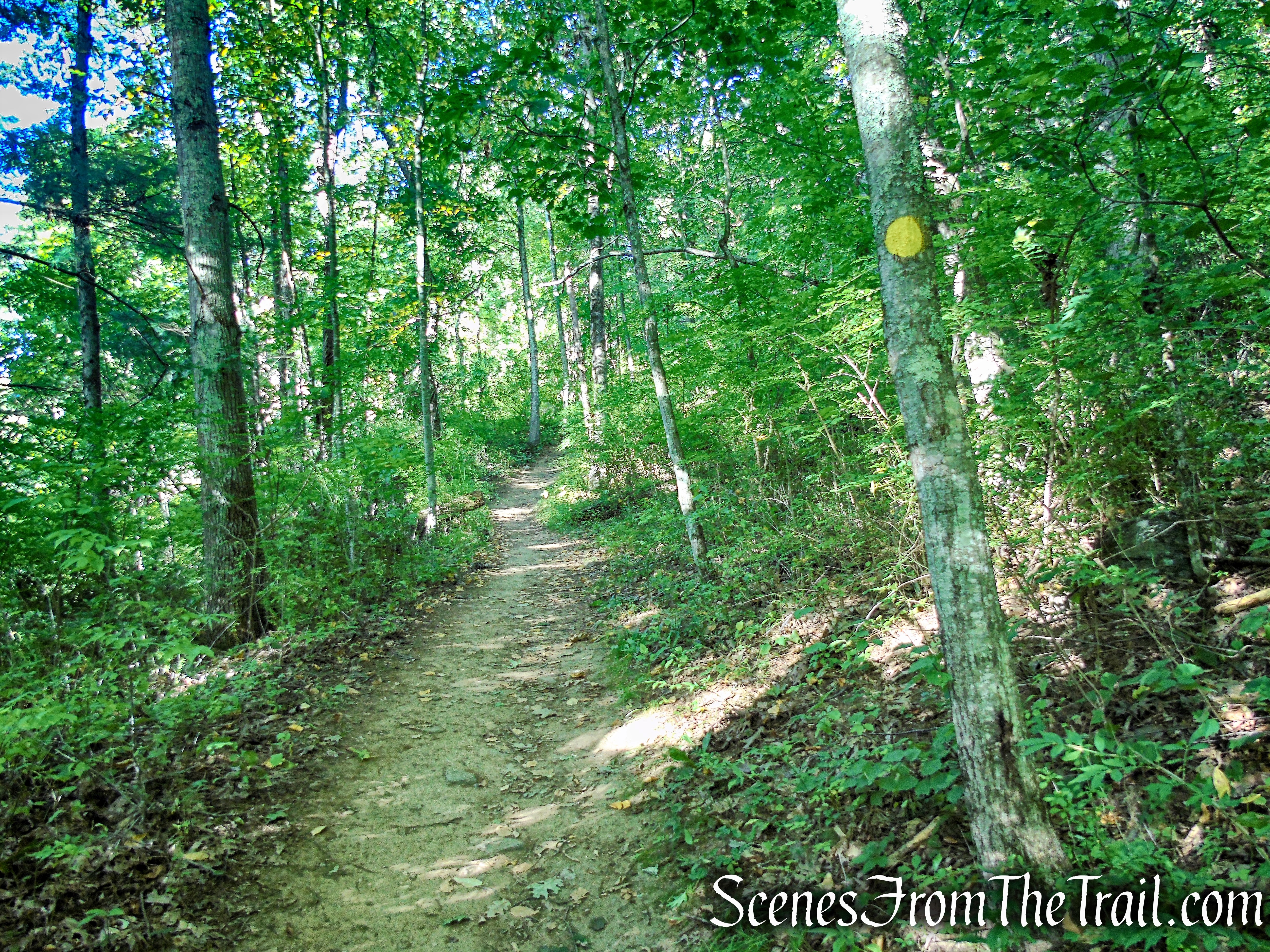 Meeker Trail - Macricostas Preserve