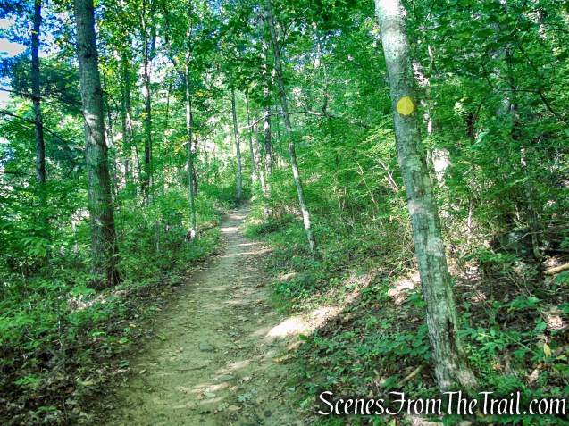 Meeker Trail - Macricostas Preserve