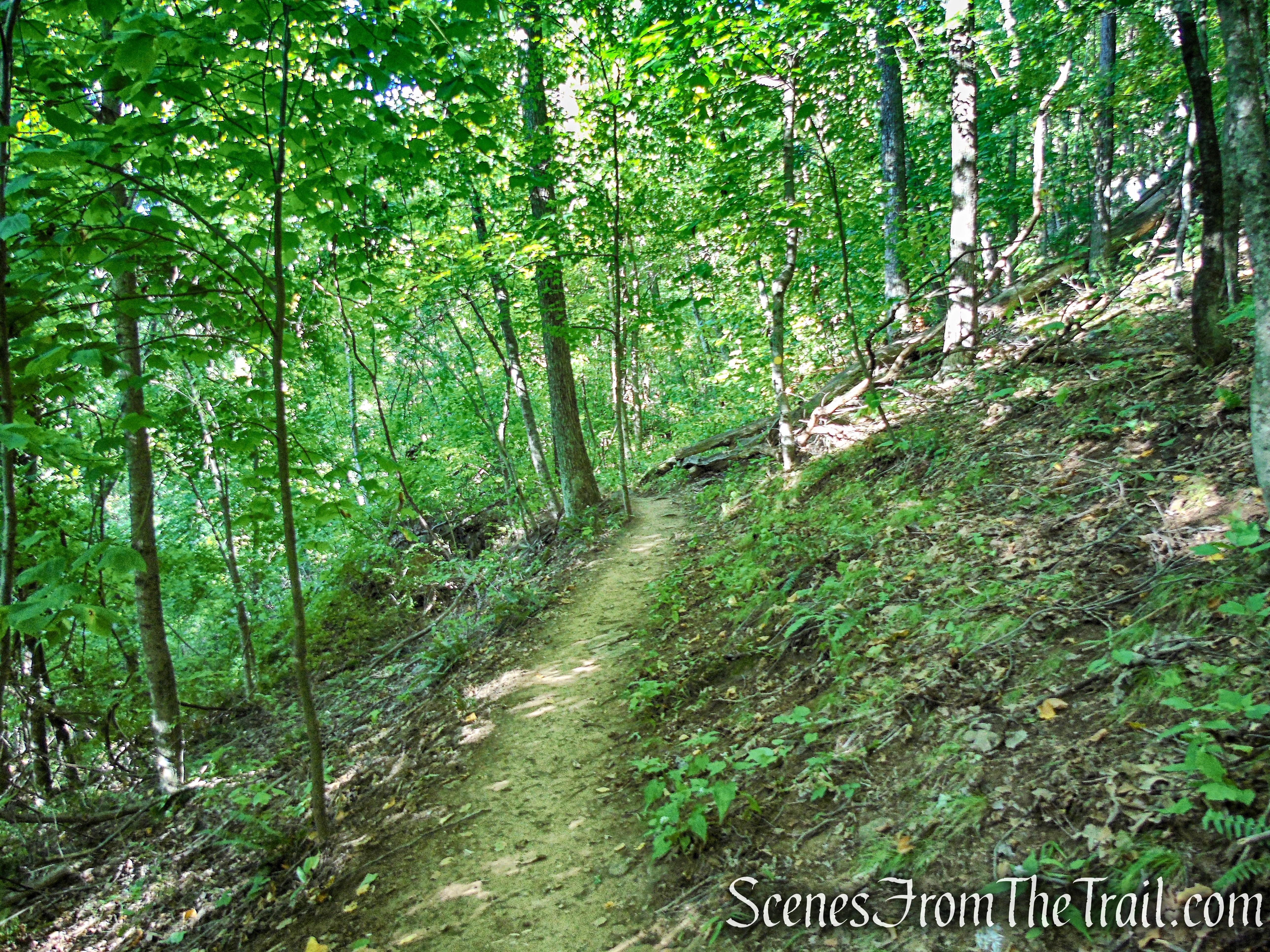 Meeker Trail - Macricostas Preserve