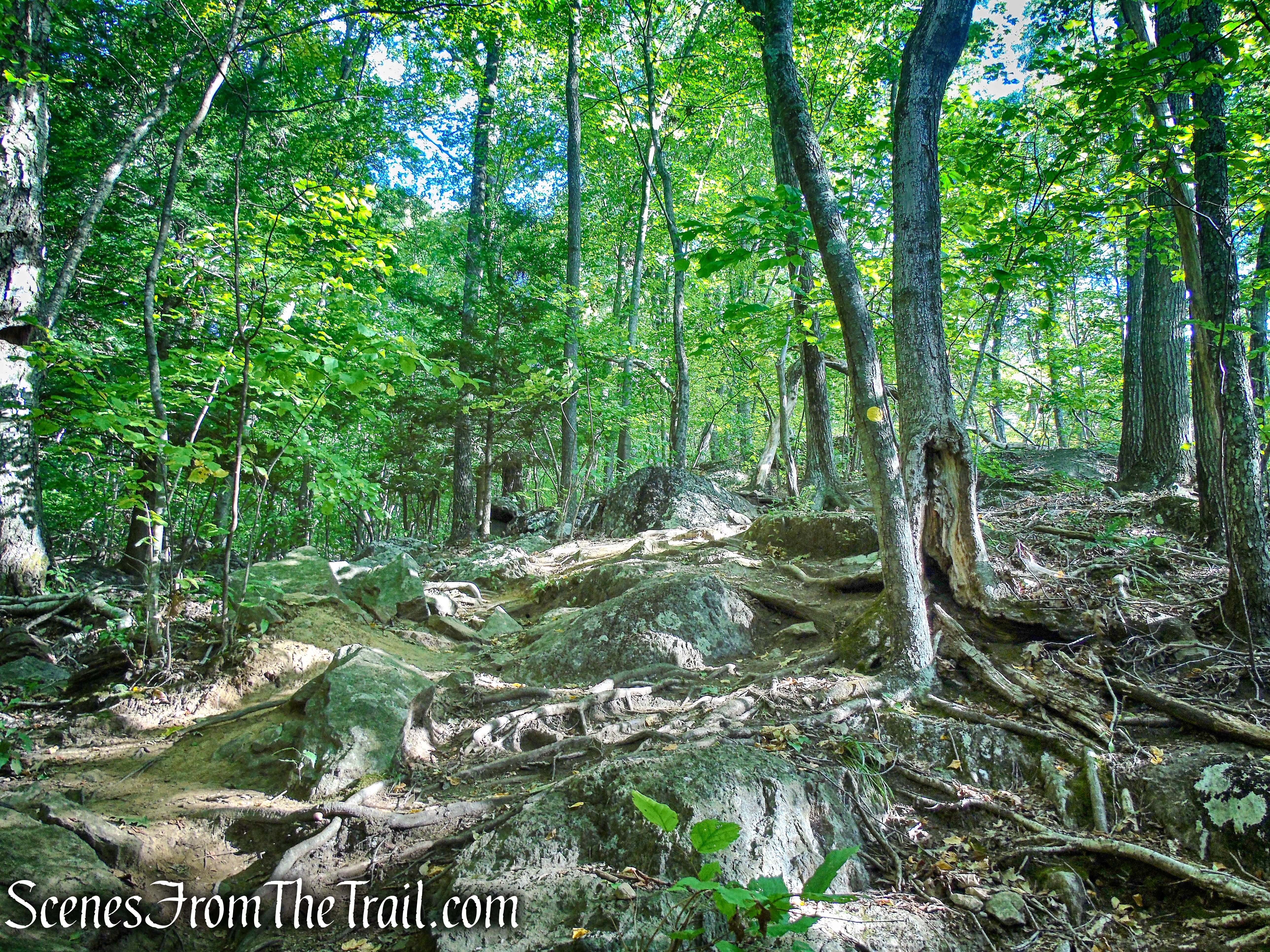 Meeker Trail - Macricostas Preserve