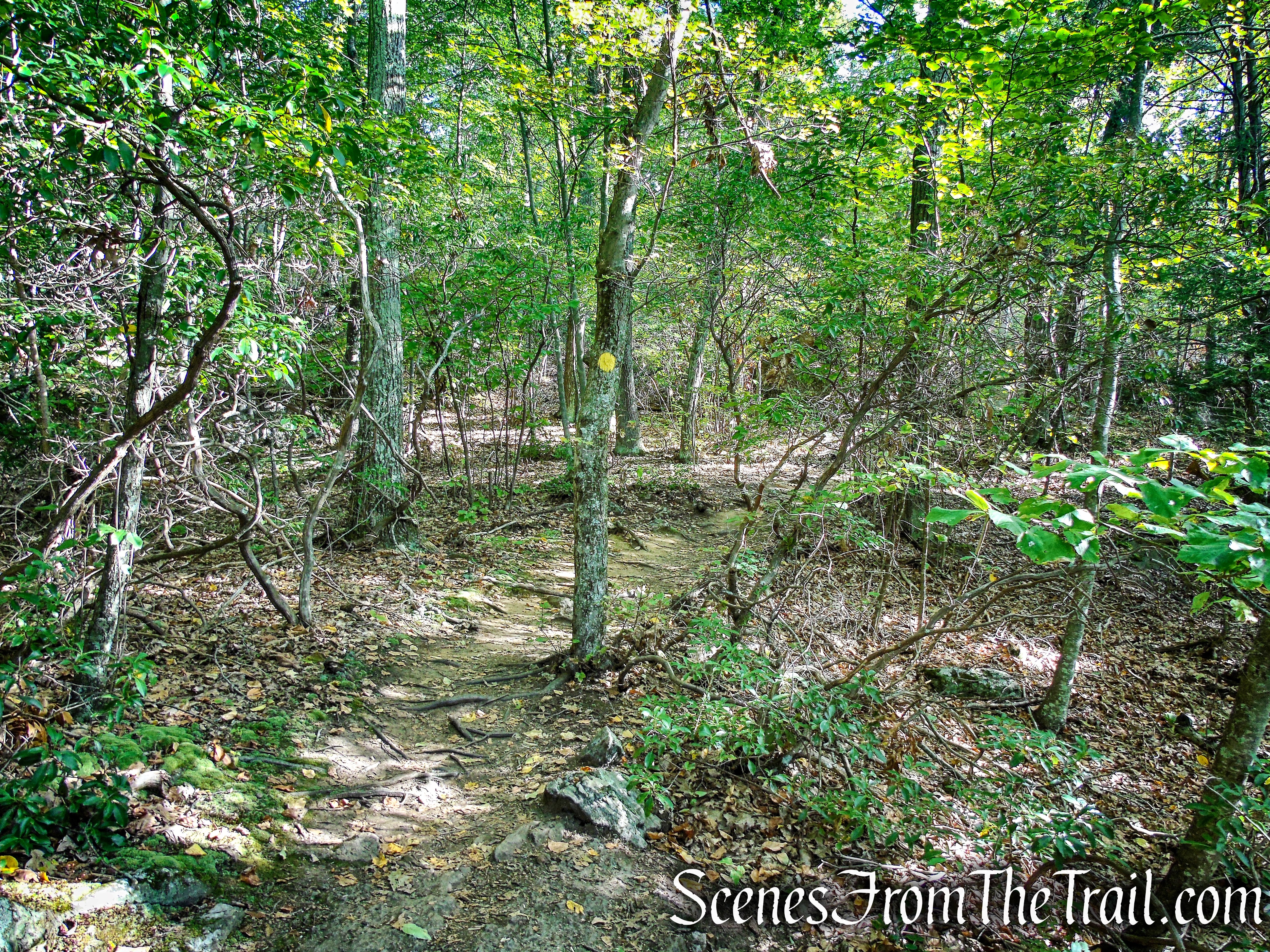 Meeker Trail - Macricostas Preserve