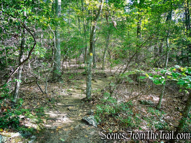 Meeker Trail - Macricostas Preserve