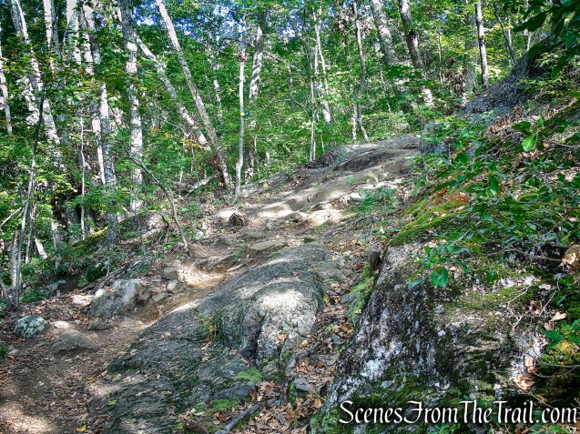 Meeker Trail - Macricostas Preserve