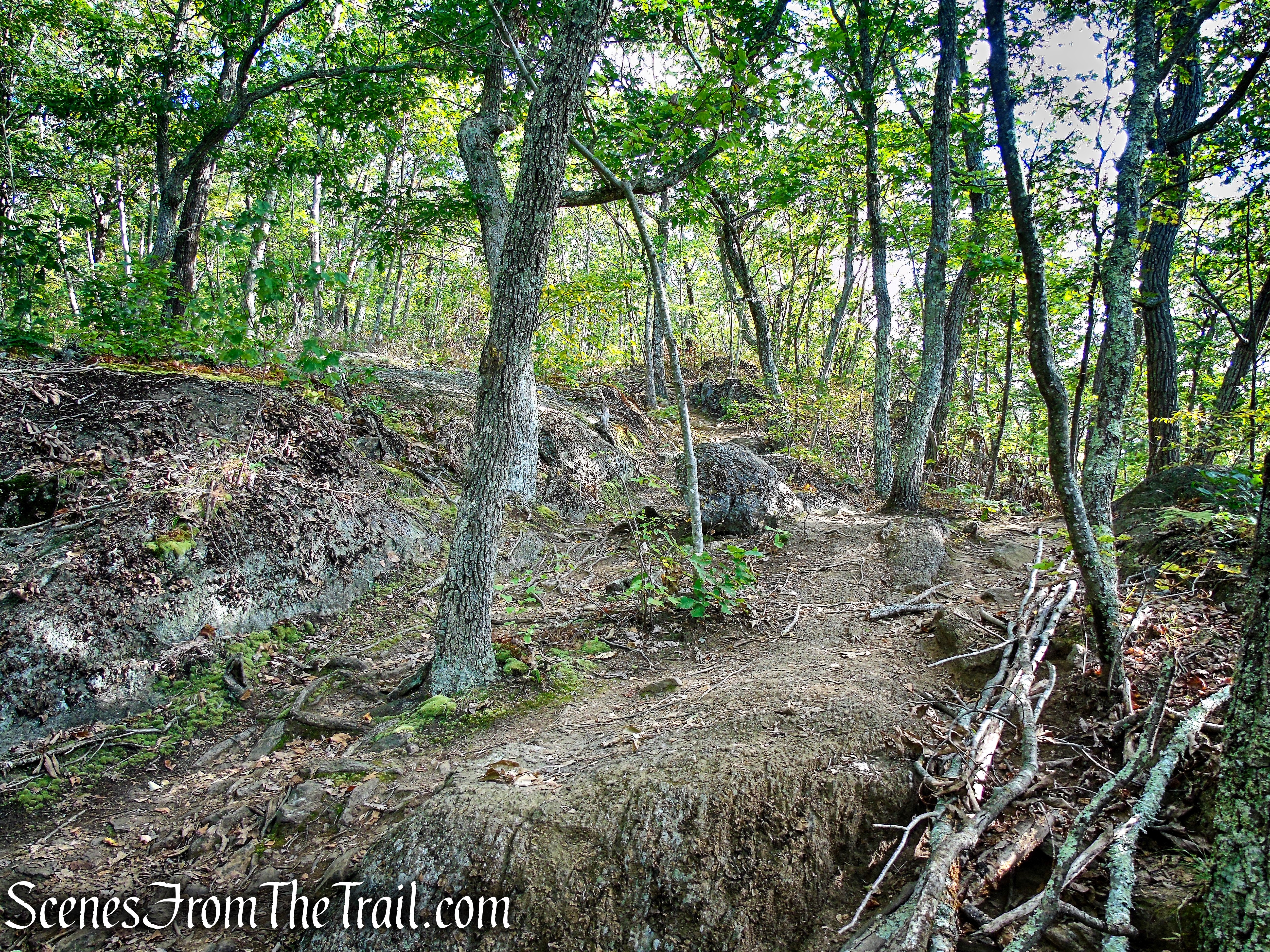 Meeker Trail - Macricostas Preserve