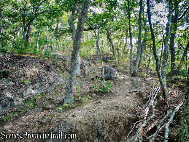 Meeker Trail - Macricostas Preserve