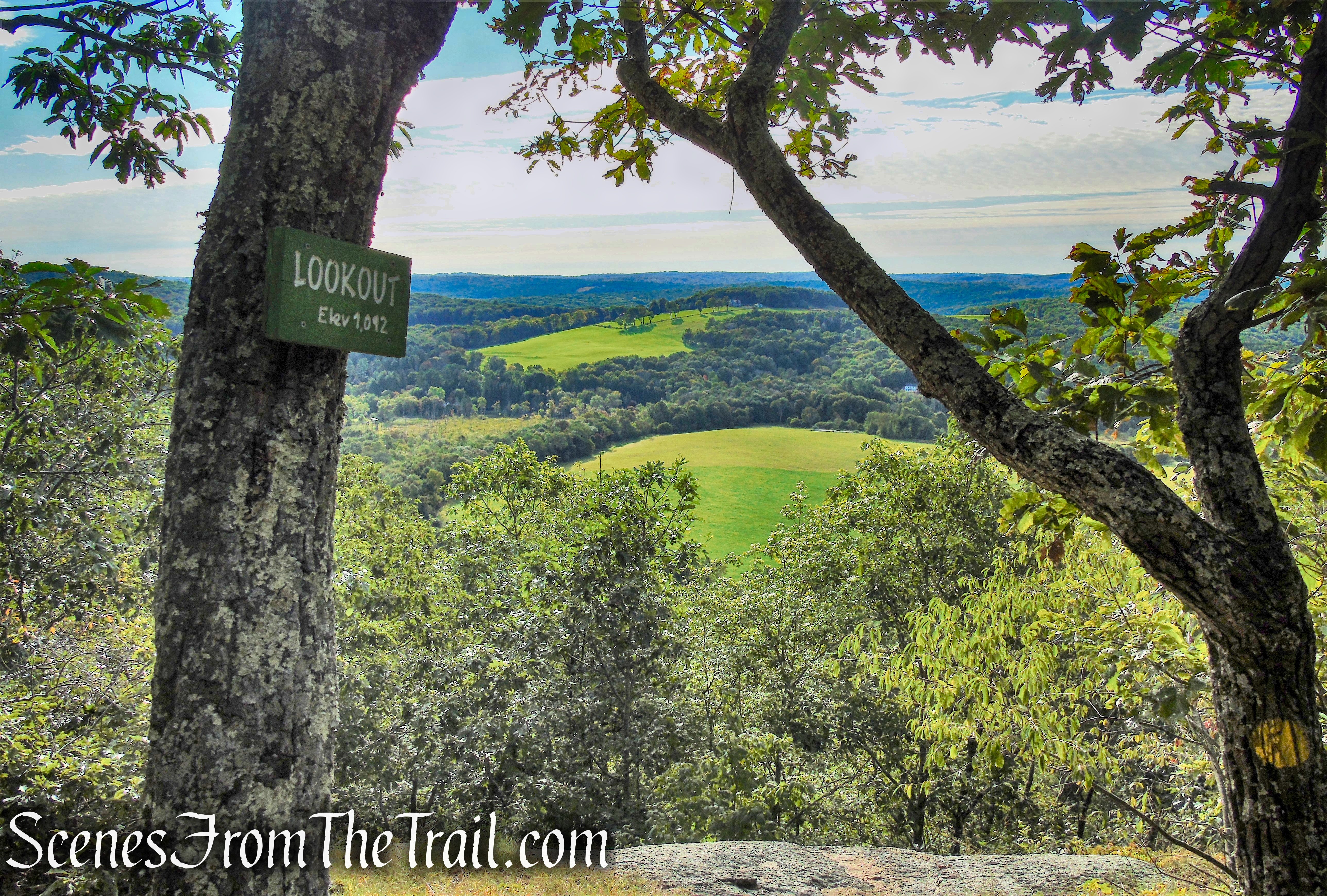 Lookout - Macricostas Preserve