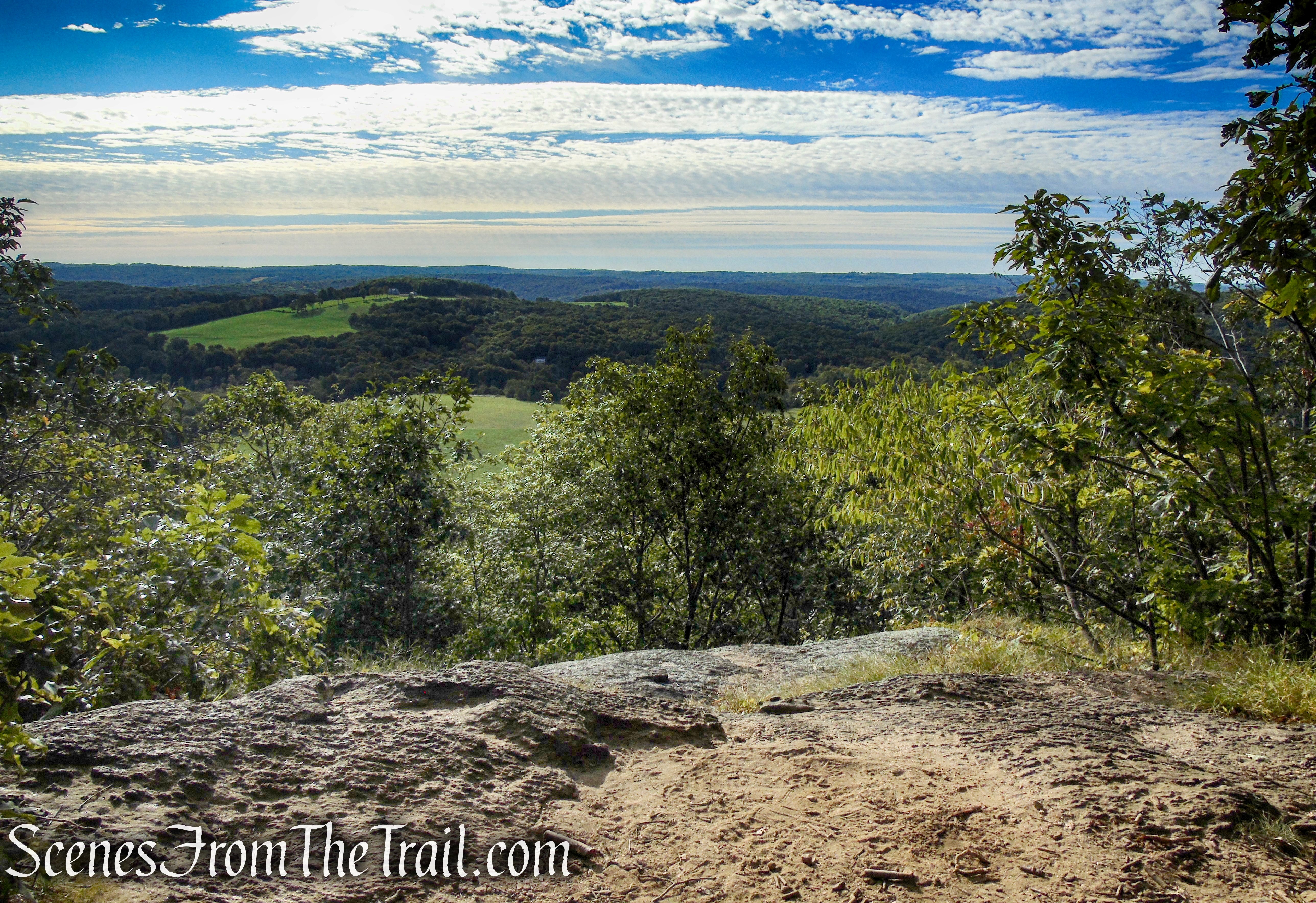 Lookout - Macricostas Preserve