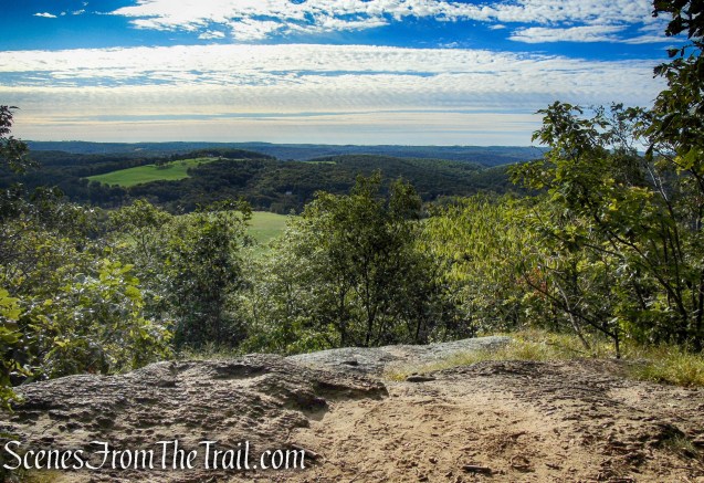 Lookout - Macricostas Preserve