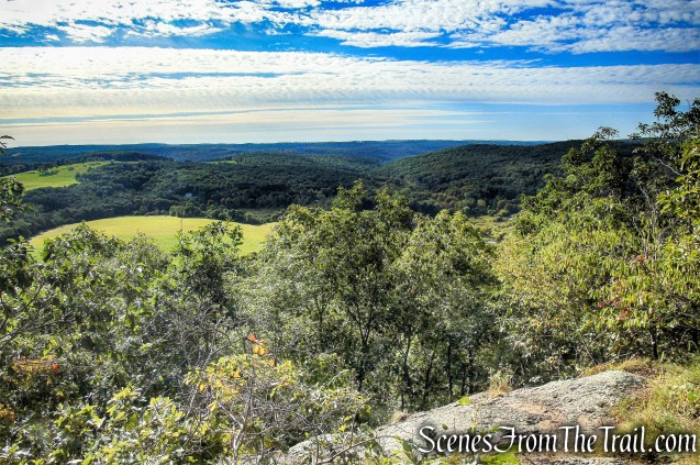 Lookout - Macricostas Preserve